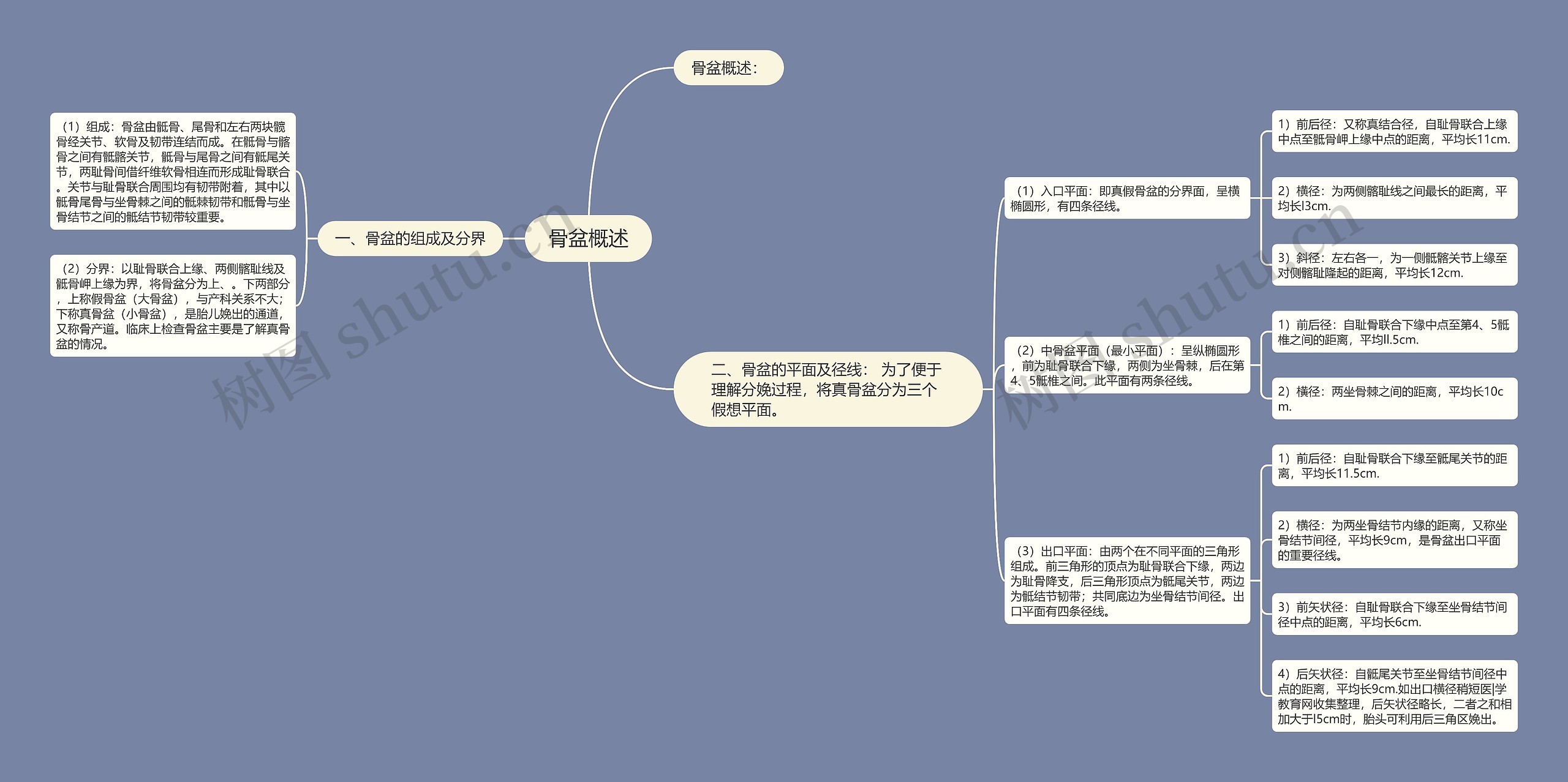 骨盆概述