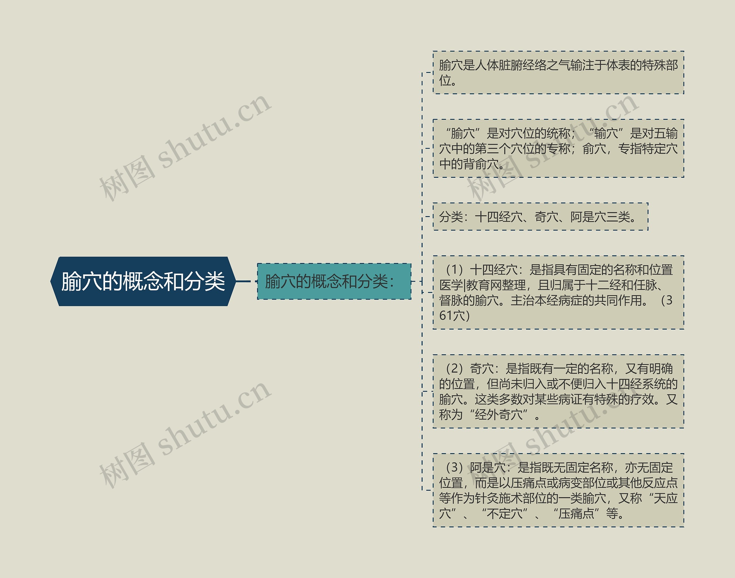 腧穴的概念和分类