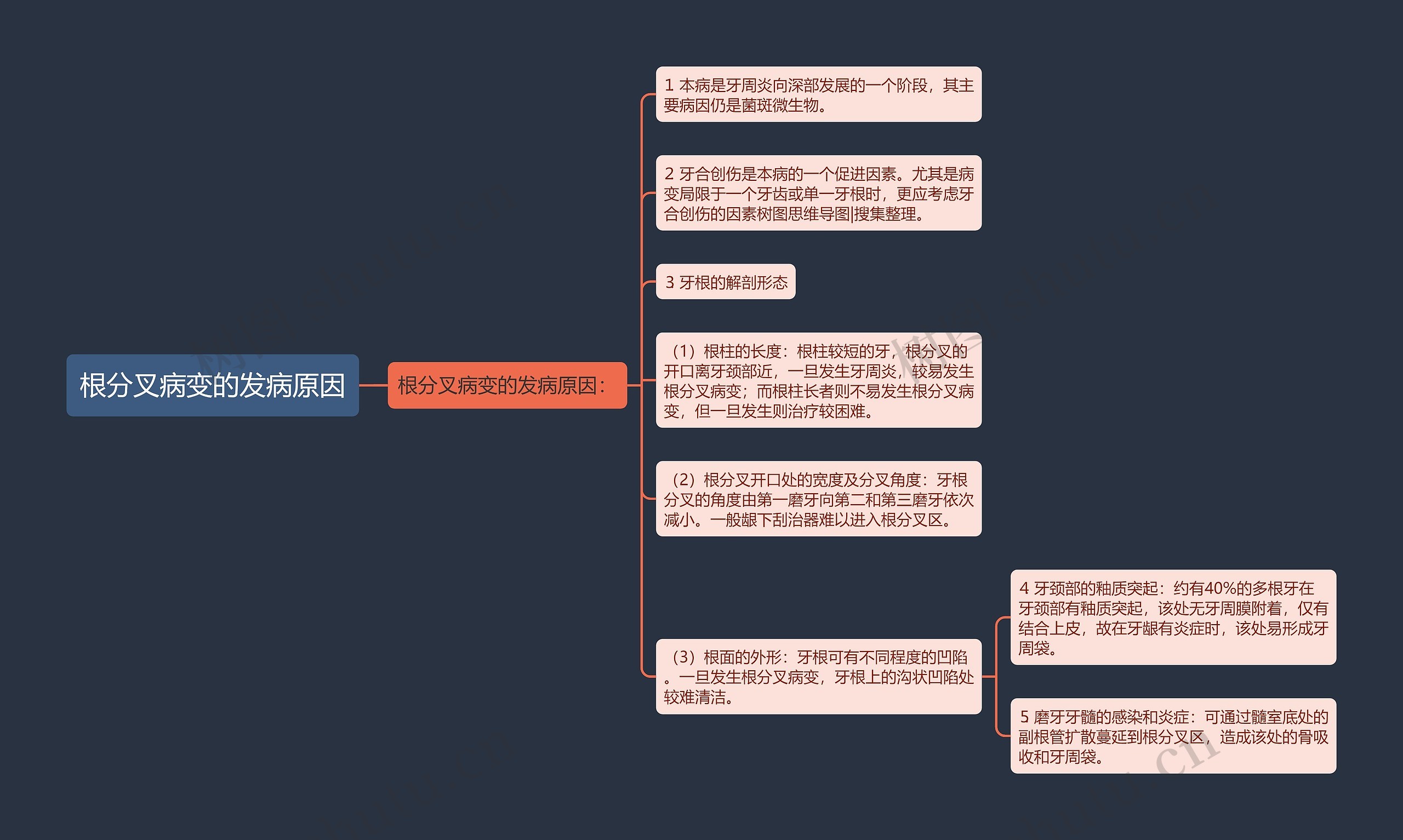 根分叉病变的发病原因