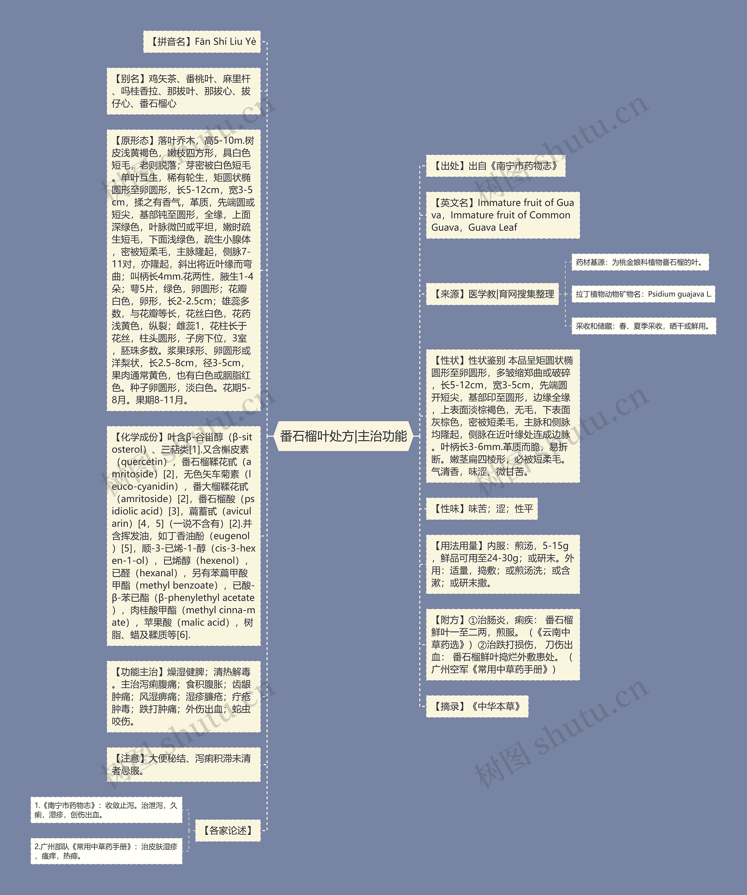 番石榴叶处方|主治功能