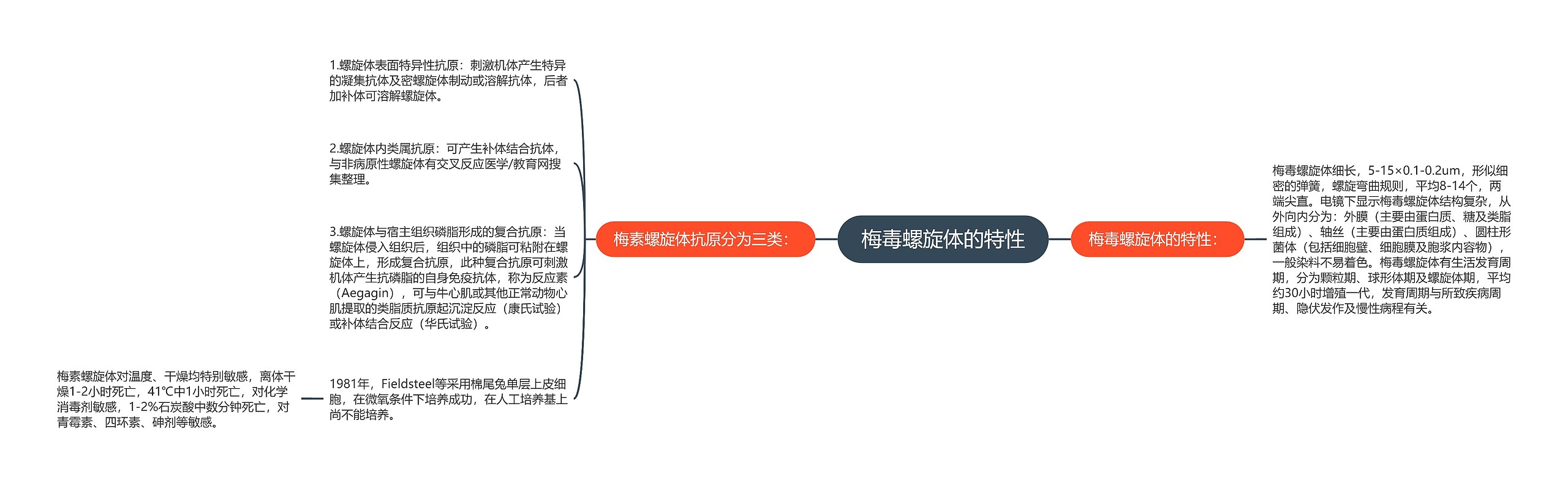 梅毒螺旋体的特性思维导图