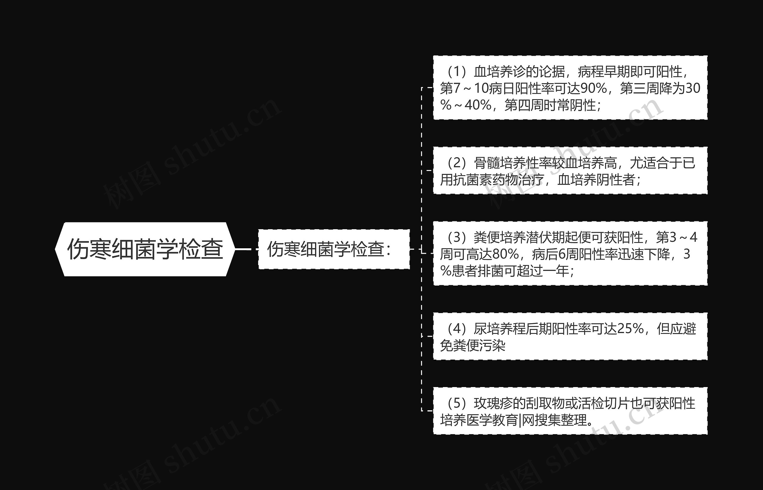 伤寒细菌学检查思维导图