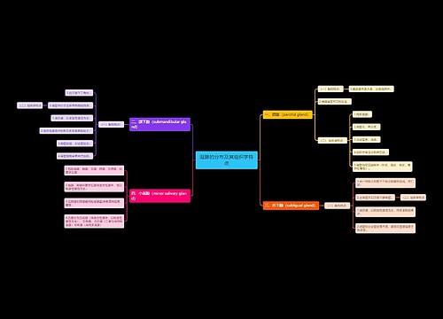 涎腺的分布及其组织学特点