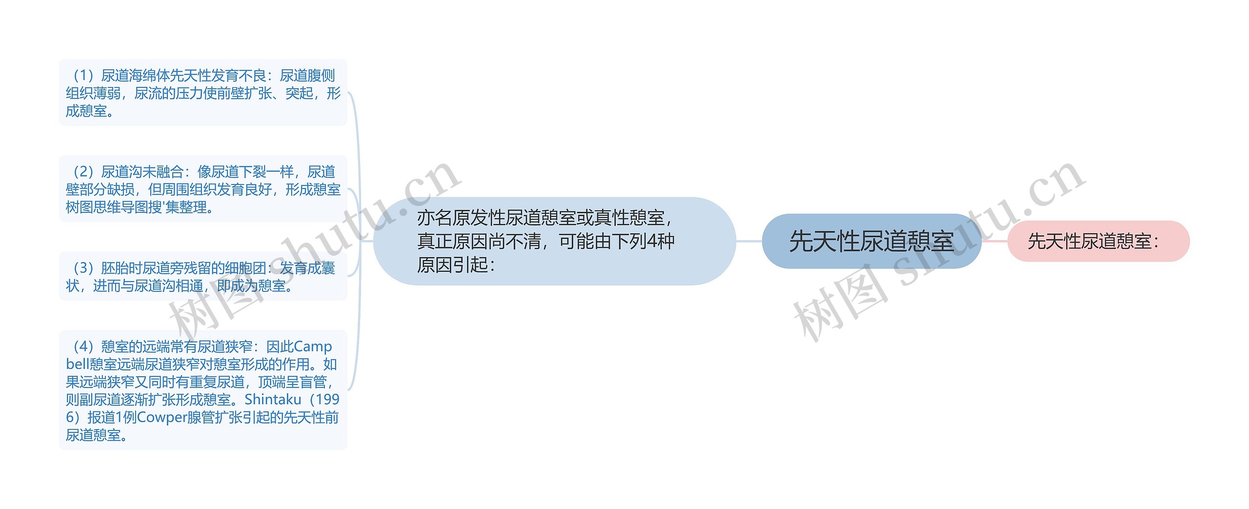 先天性尿道憩室 先天性尿道憩室