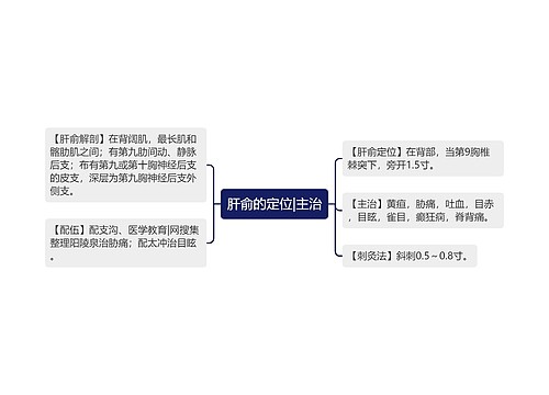 肝俞的定位|主治