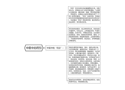 中医中的药引
