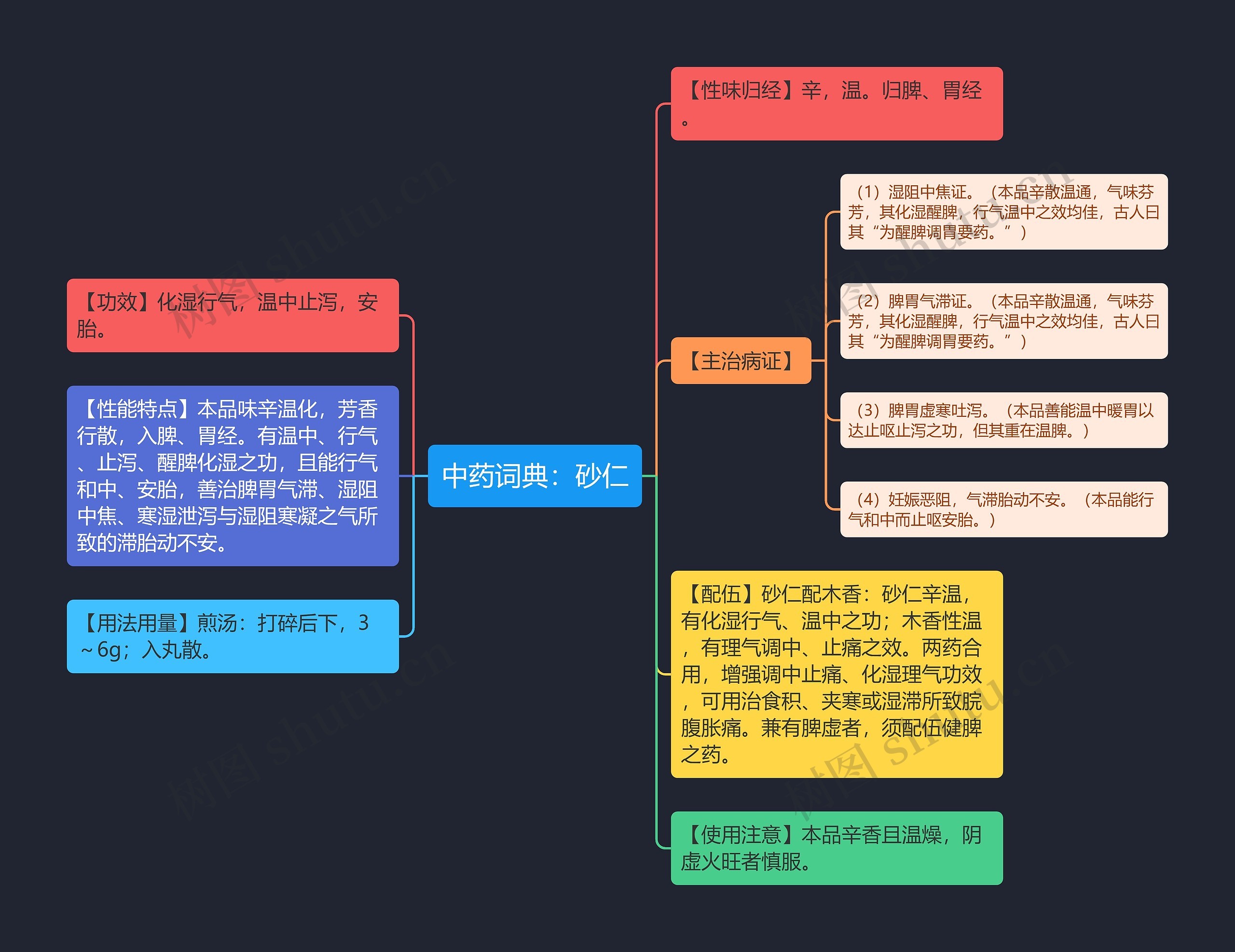 中药词典：砂仁思维导图