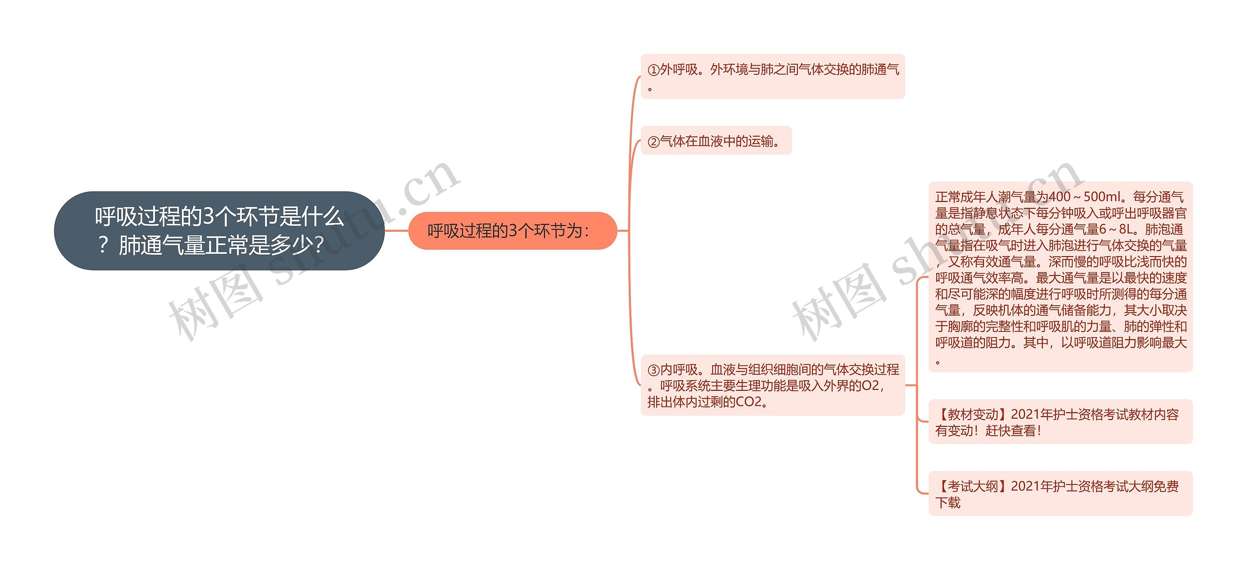 呼吸过程的3个环节是什么？肺通气量正常是多少？ 思维导图