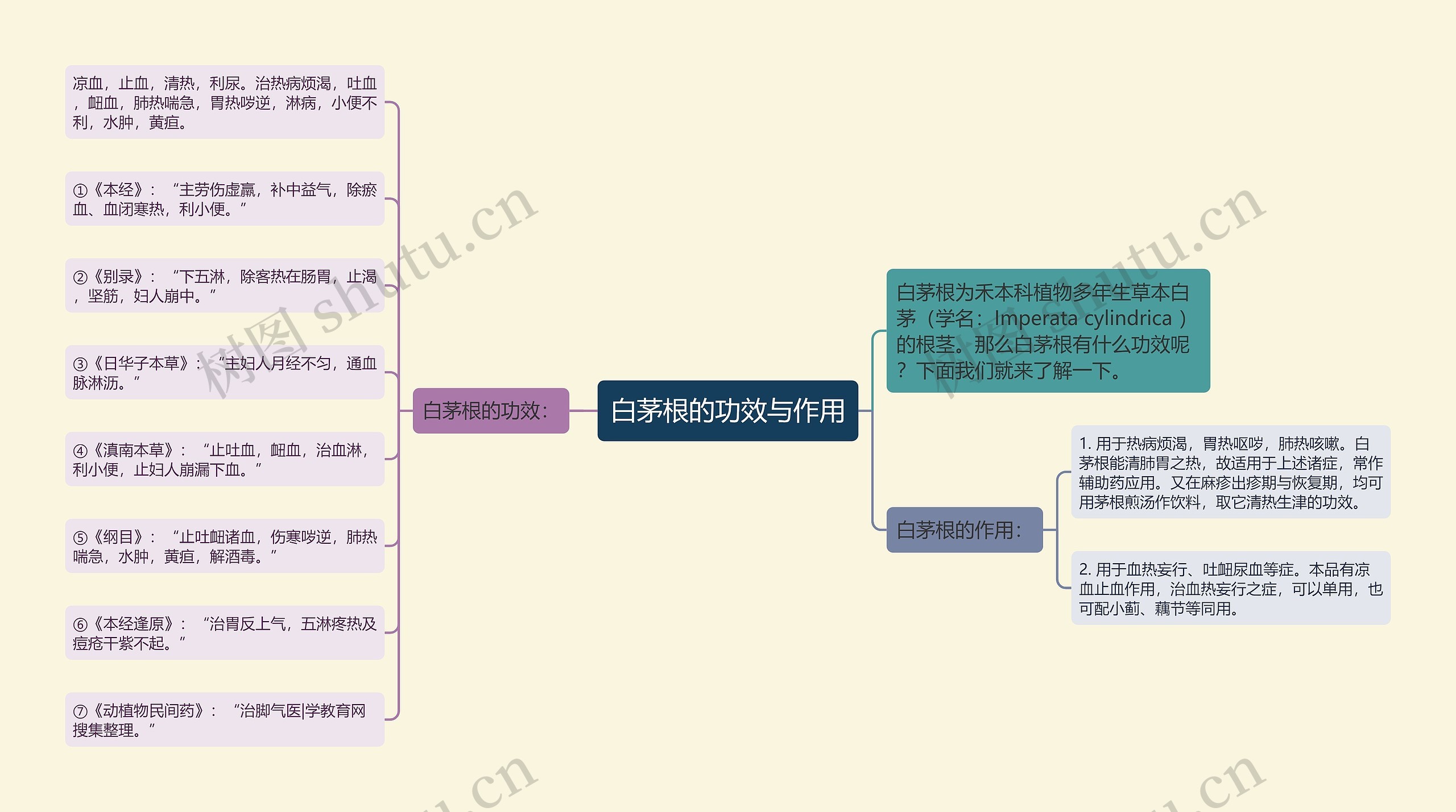 白茅根的功效与作用思维导图