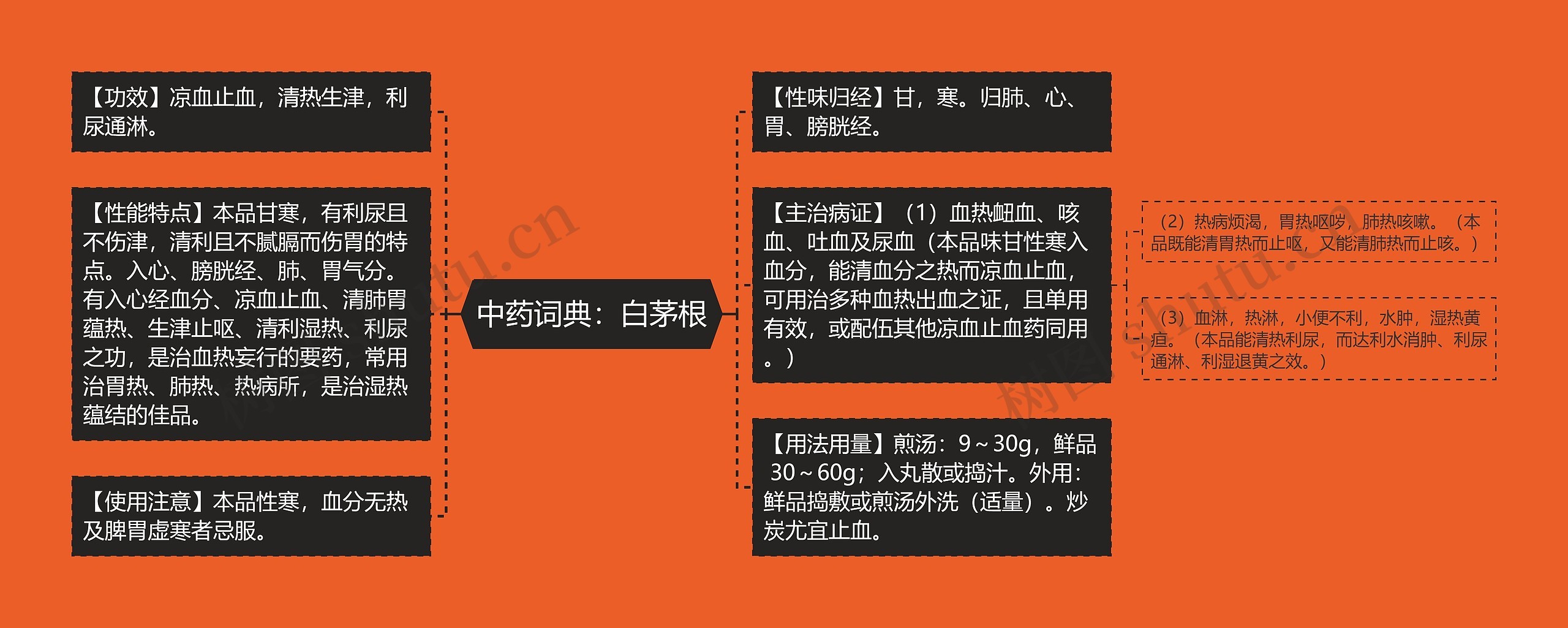 中药词典:白茅根 中药词典:白茅根