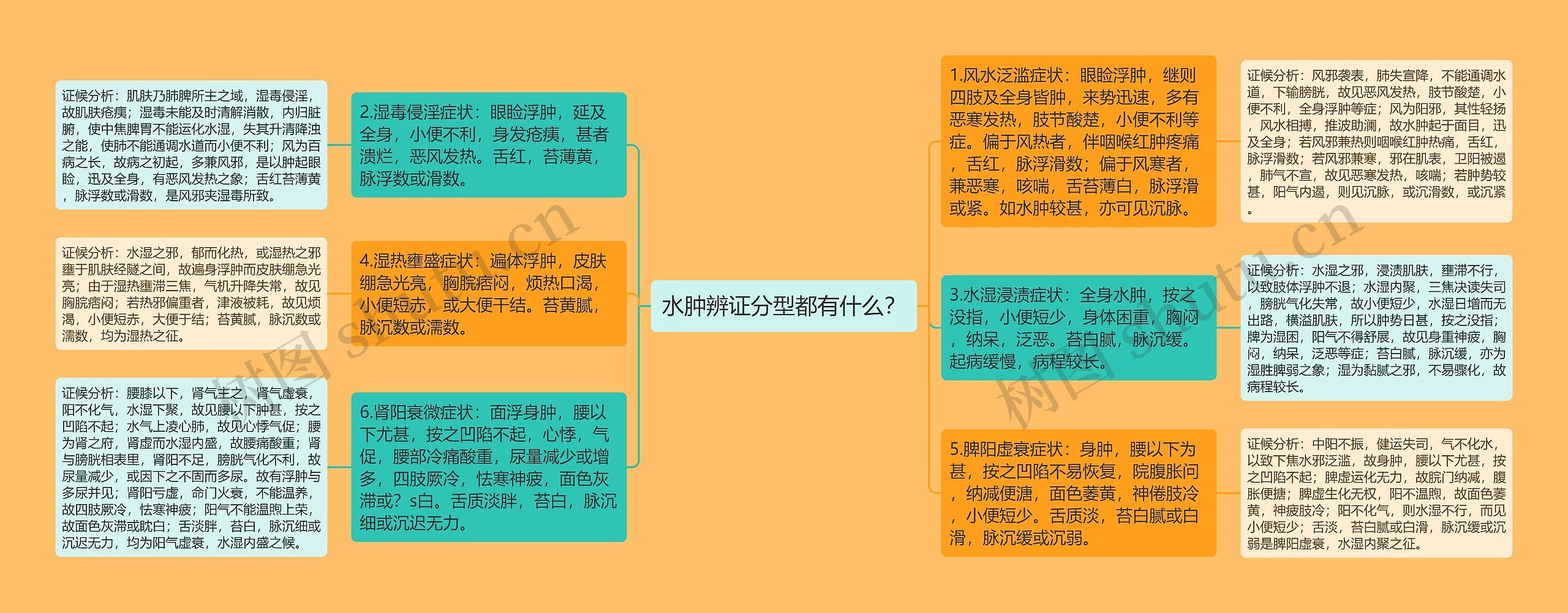 水肿辨证分型都有什么？