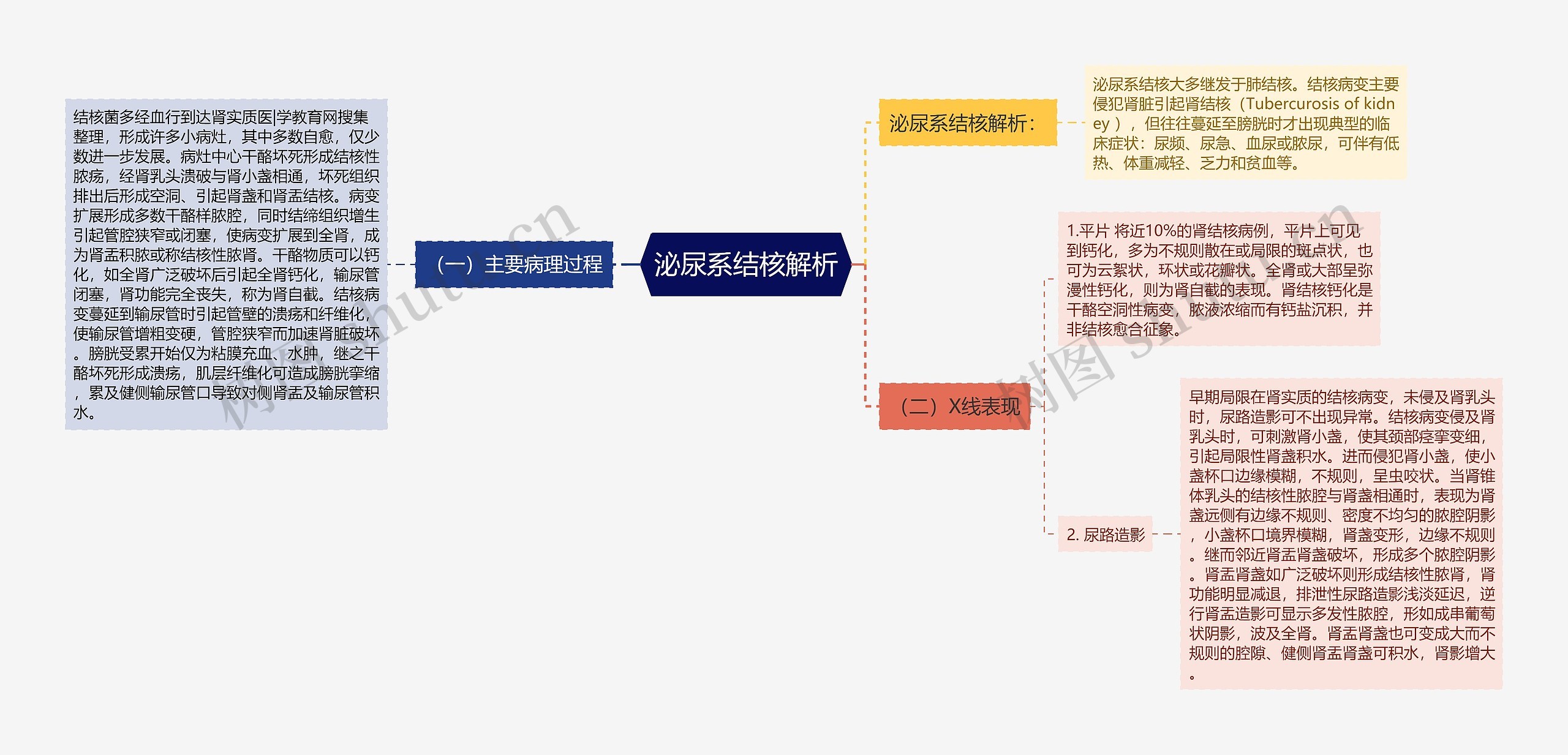 泌尿系结核解析思维导图