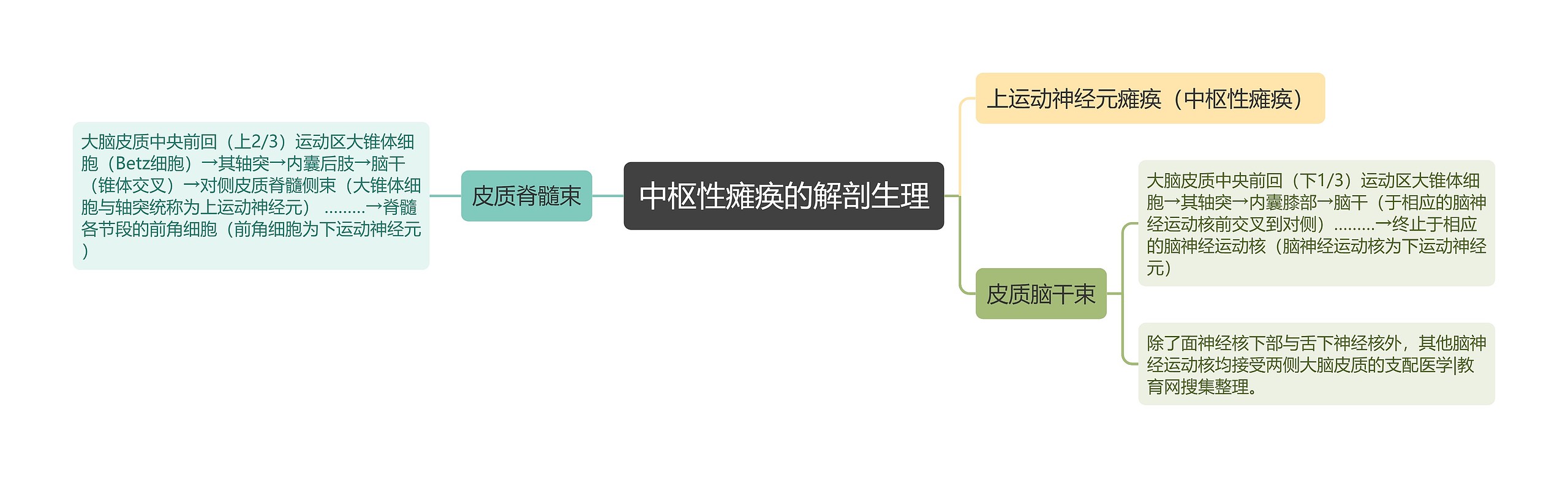 中枢性瘫痪的解剖生理思维导图