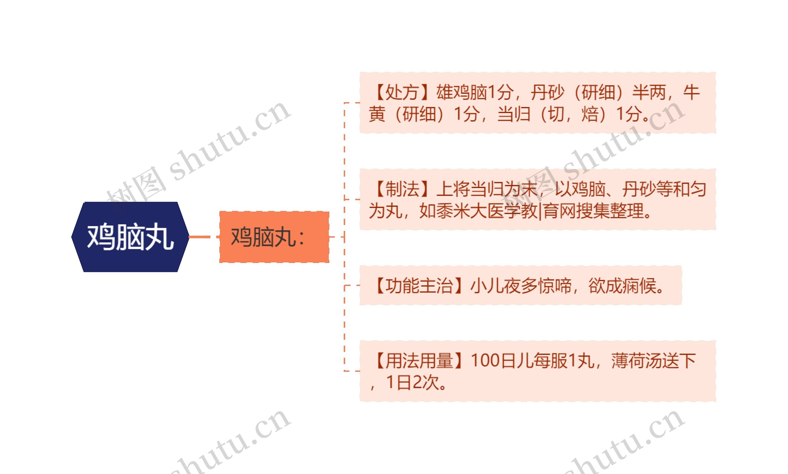 鸡脑丸思维导图