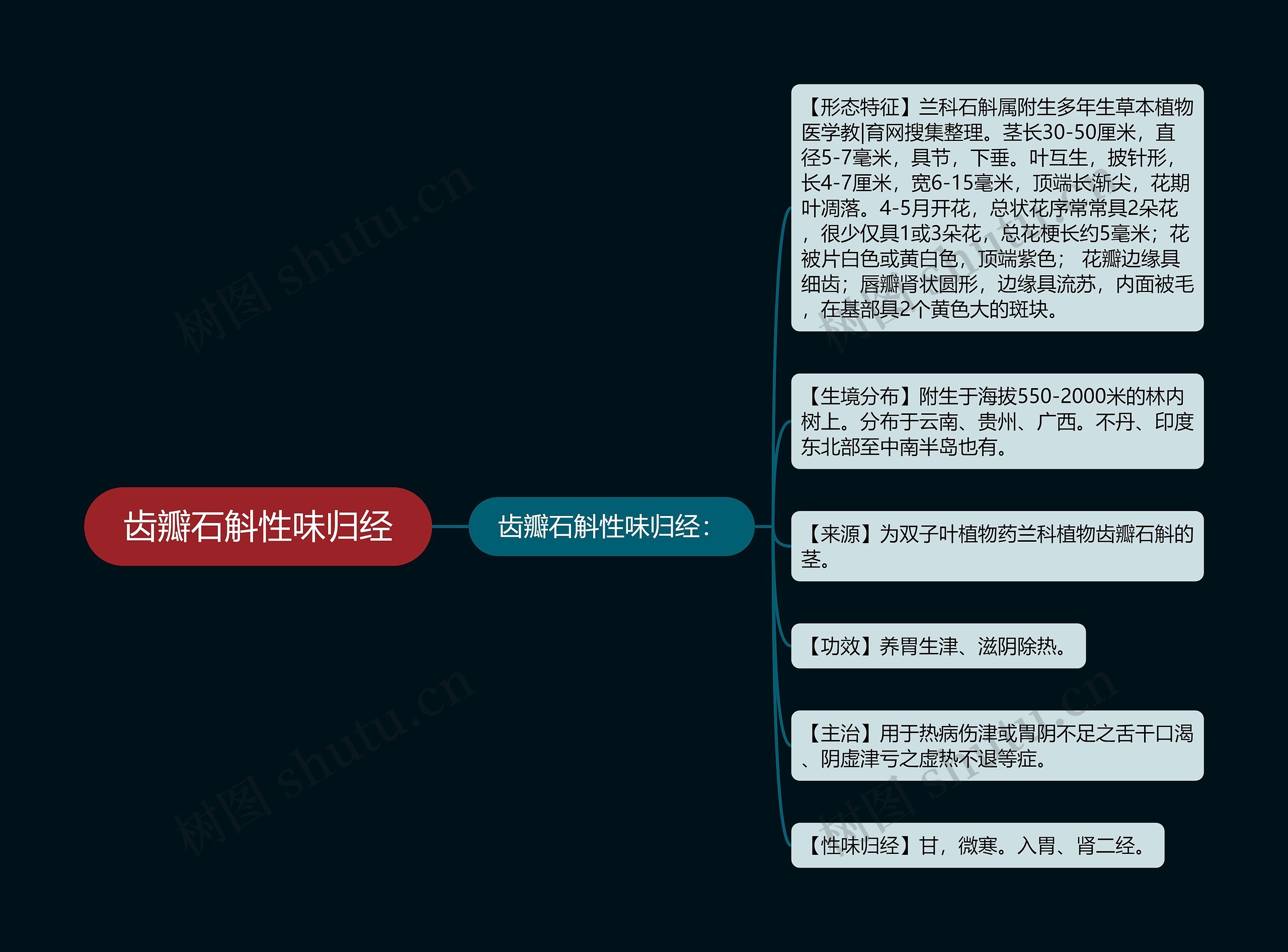 齿瓣石斛性味归经思维导图