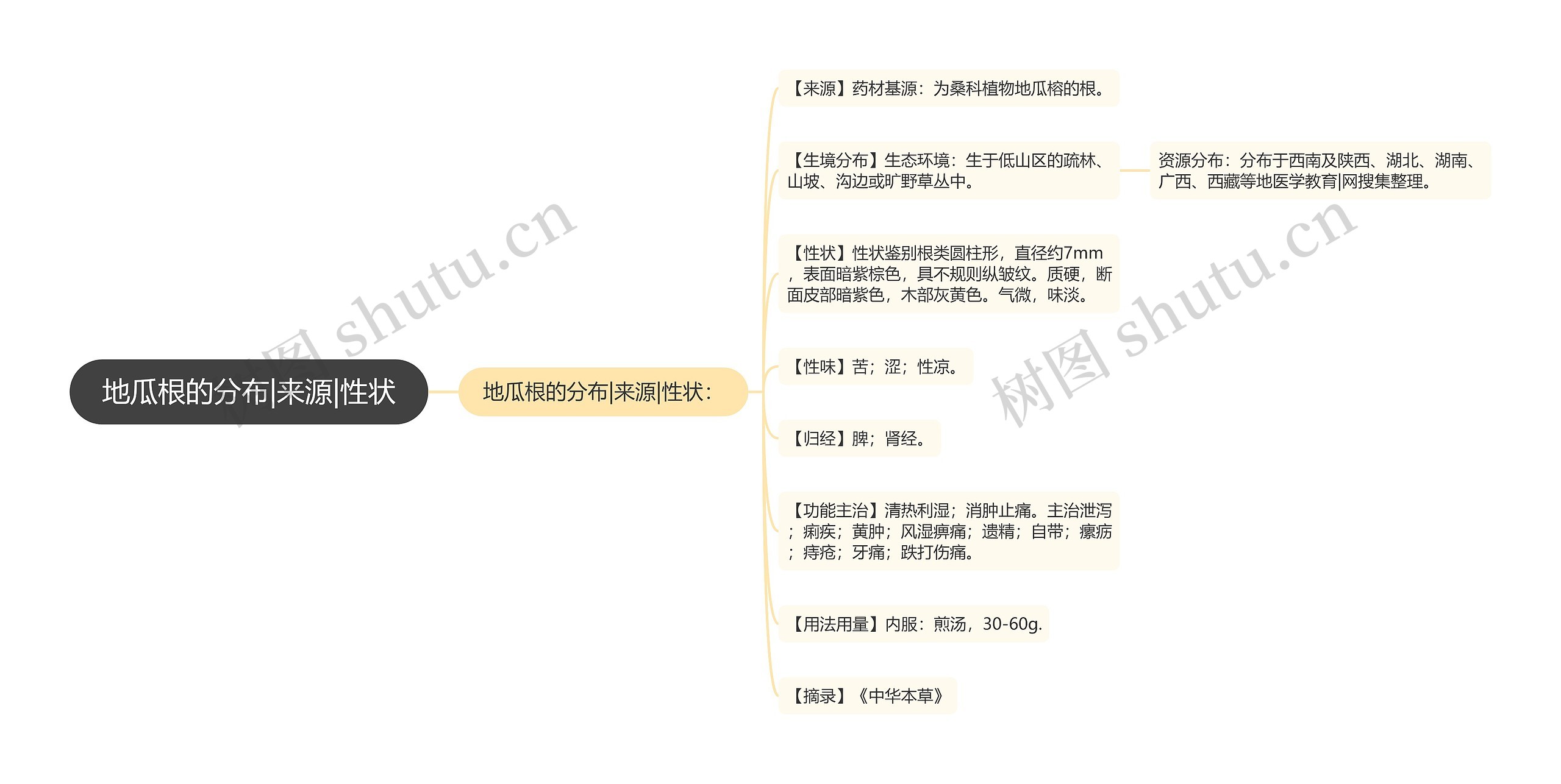 地瓜根的分布|来源|性状思维导图