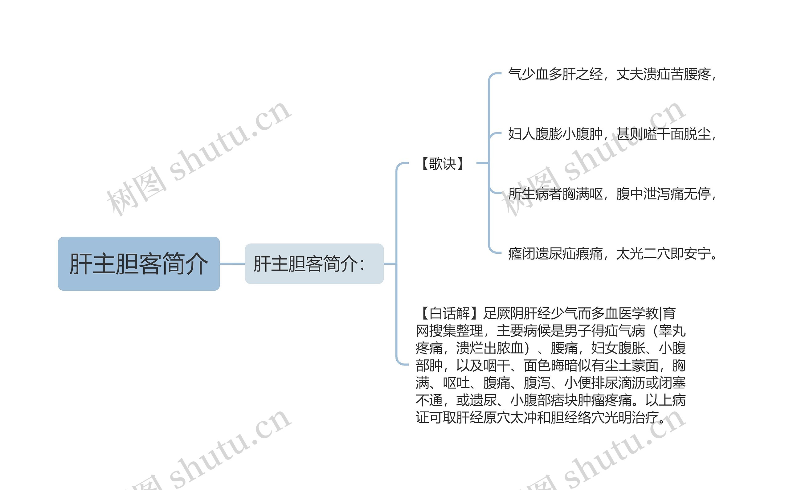 肝主胆客简介思维导图