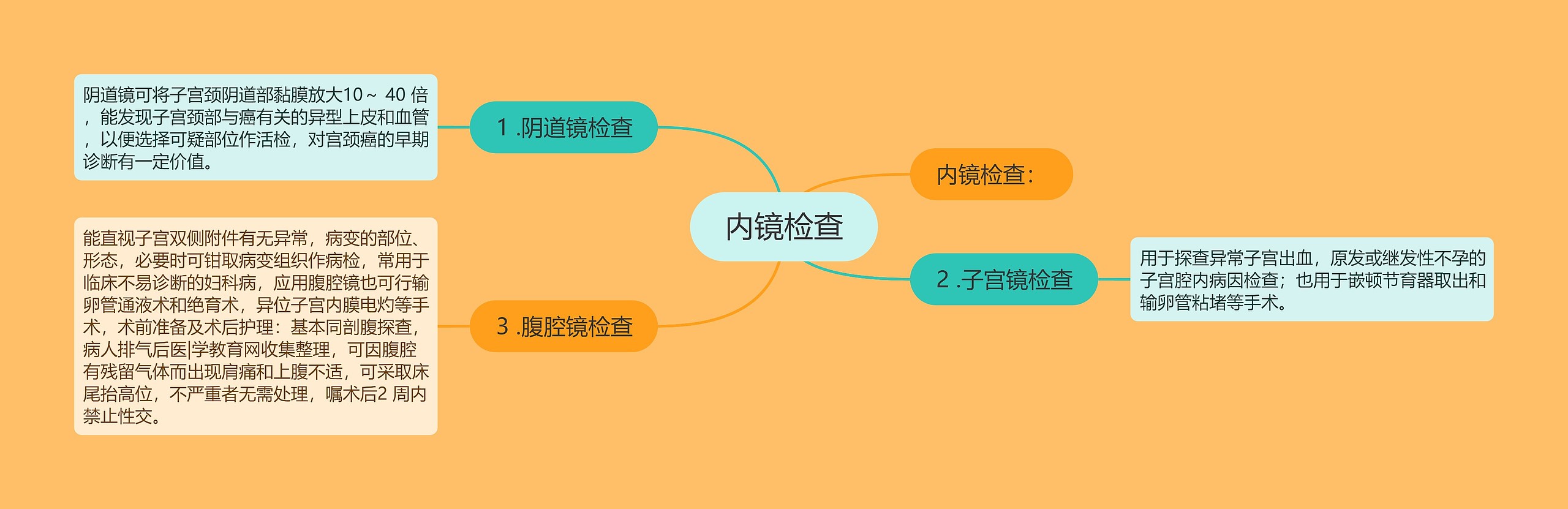 内镜检查 内镜检查