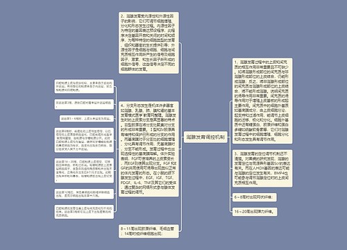 涎腺发育调控机制