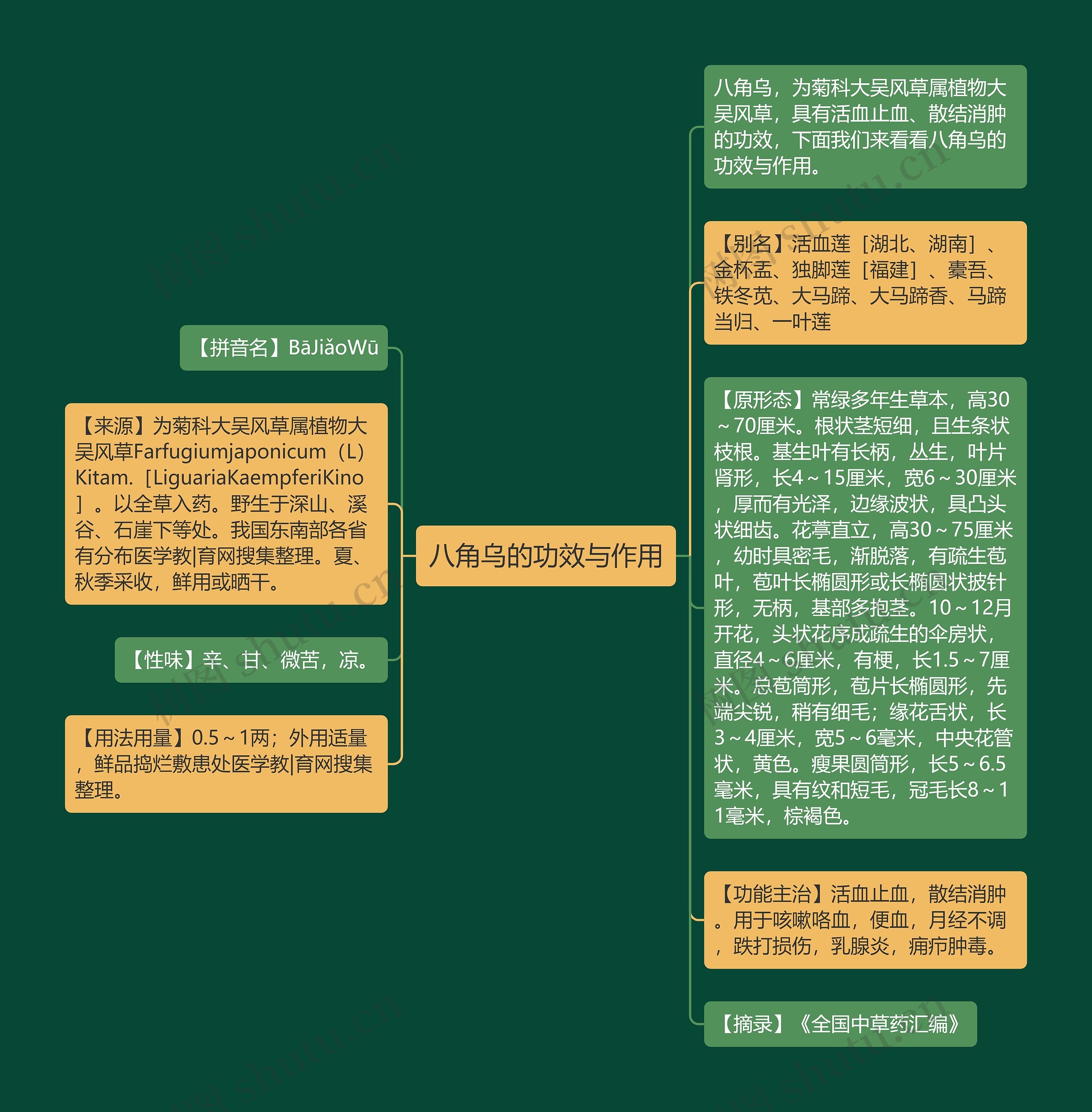 八角乌的功效与作用思维导图