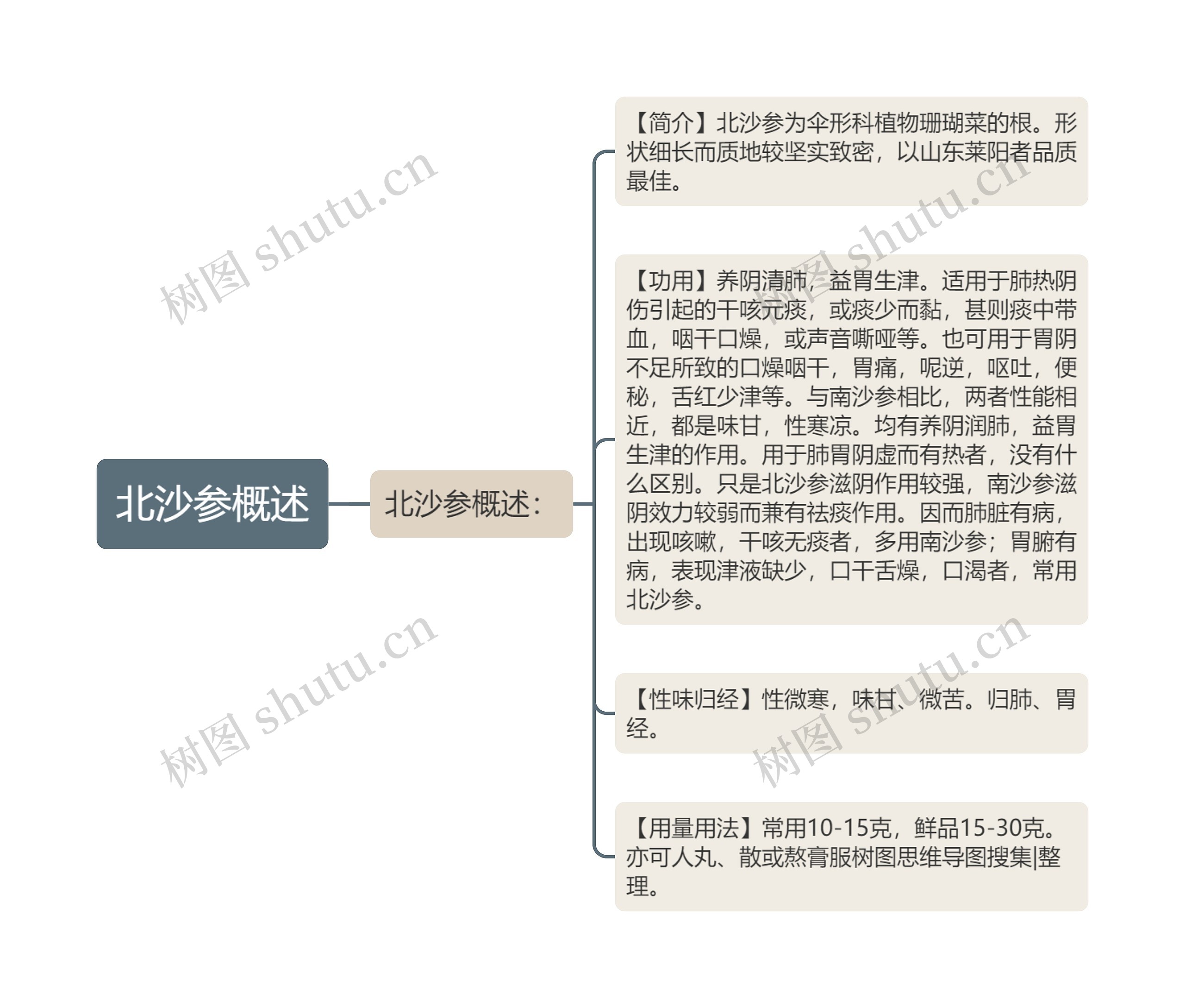 北沙参概述思维导图