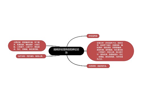 阴痒肝经湿热型的辨证论治