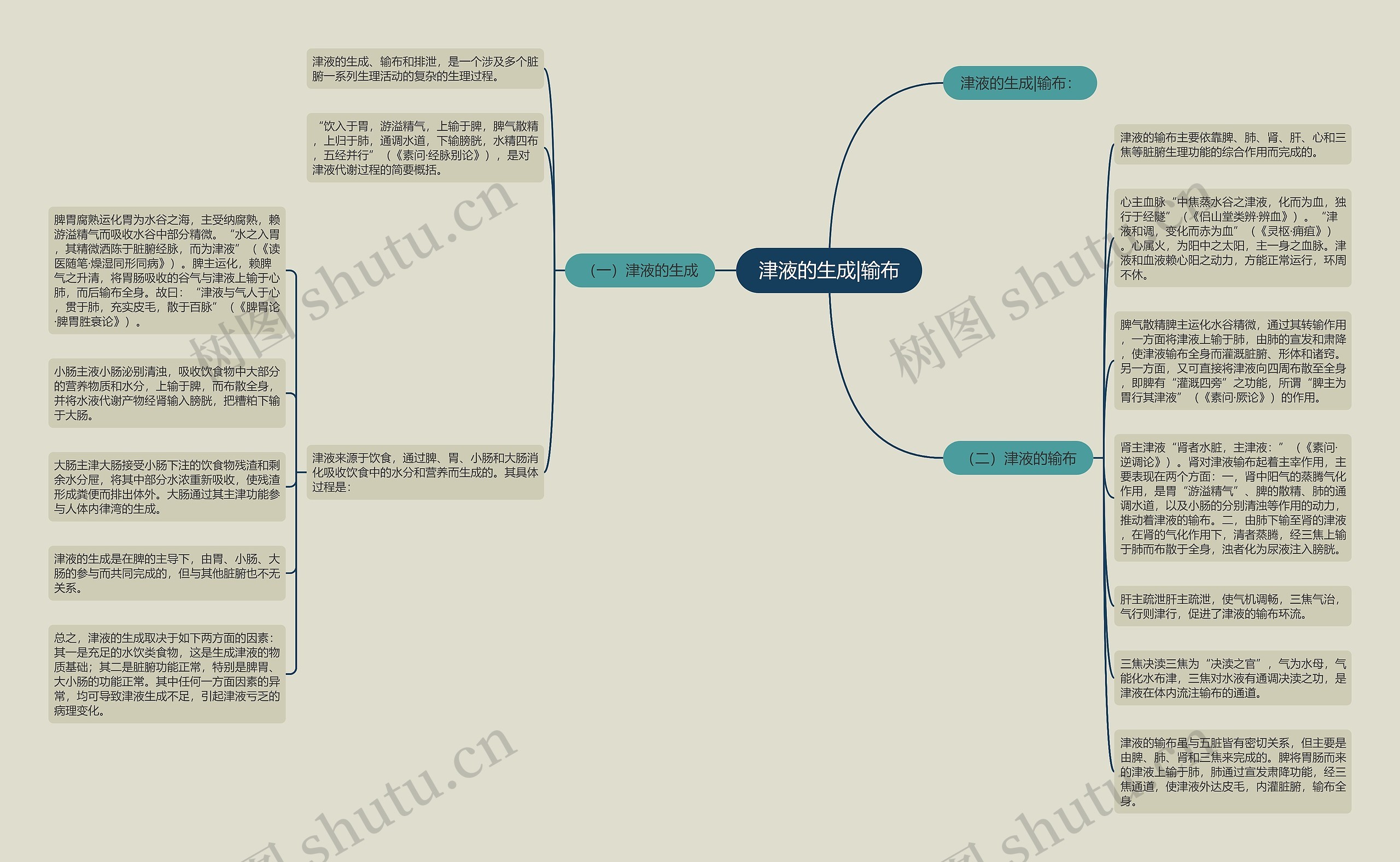 津液的生成|输布思维导图