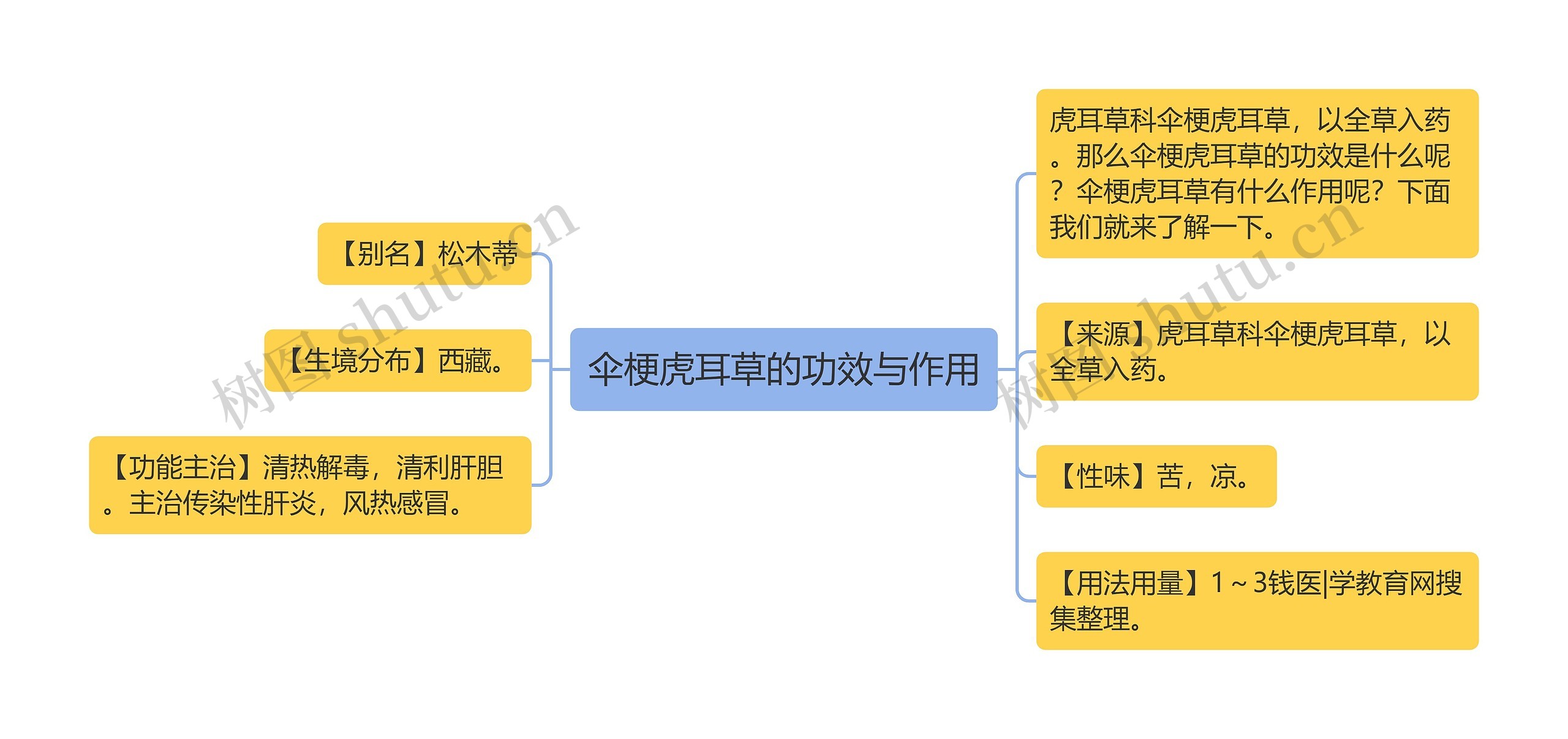 伞梗虎耳草的功效与作用思维导图