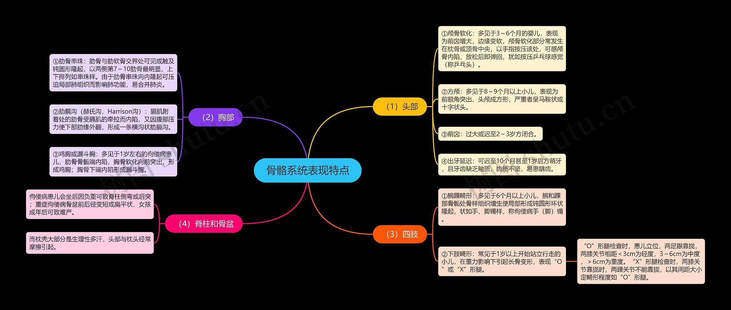 骨骼系统表现特点