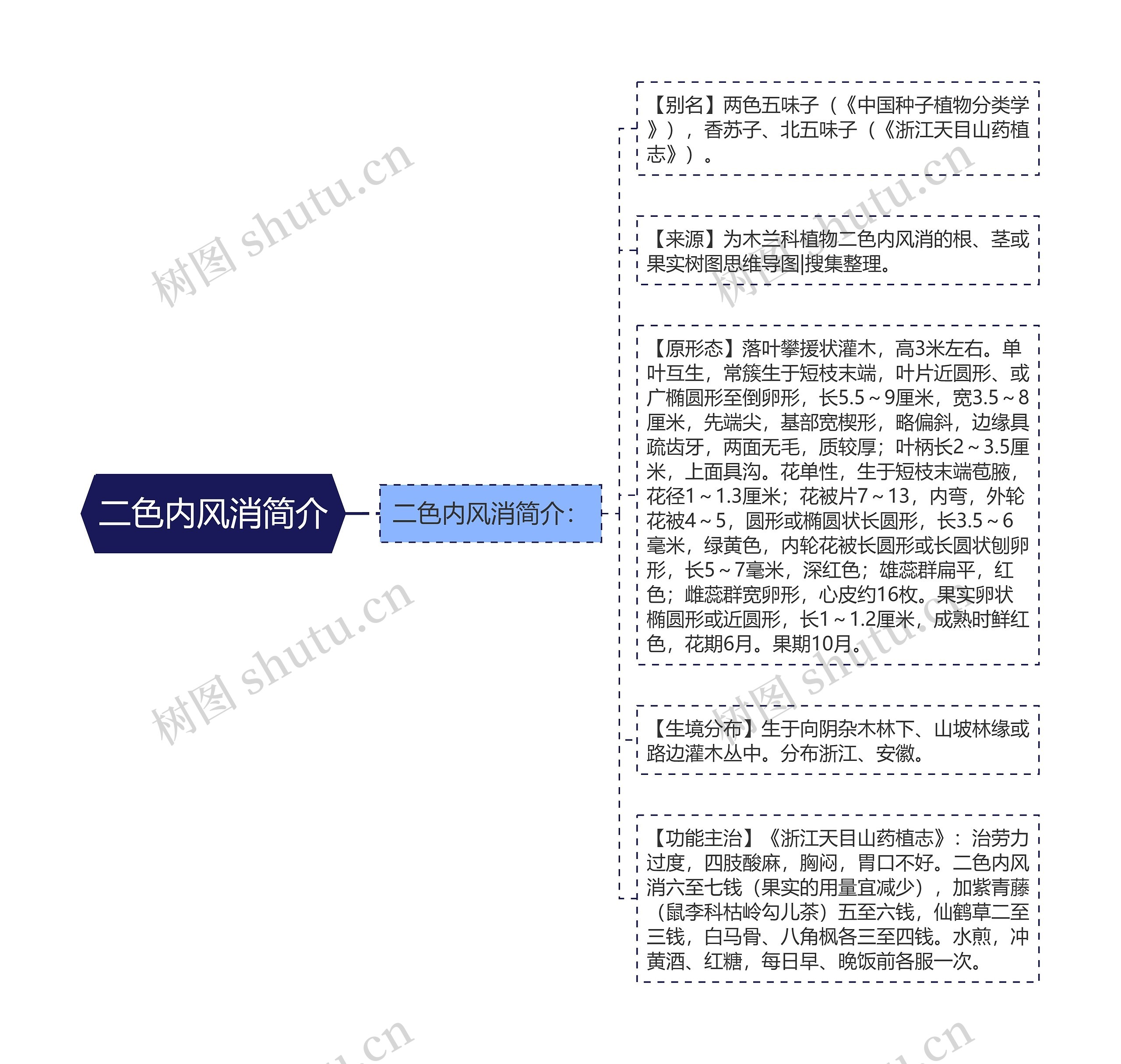 二色内风消简介思维导图