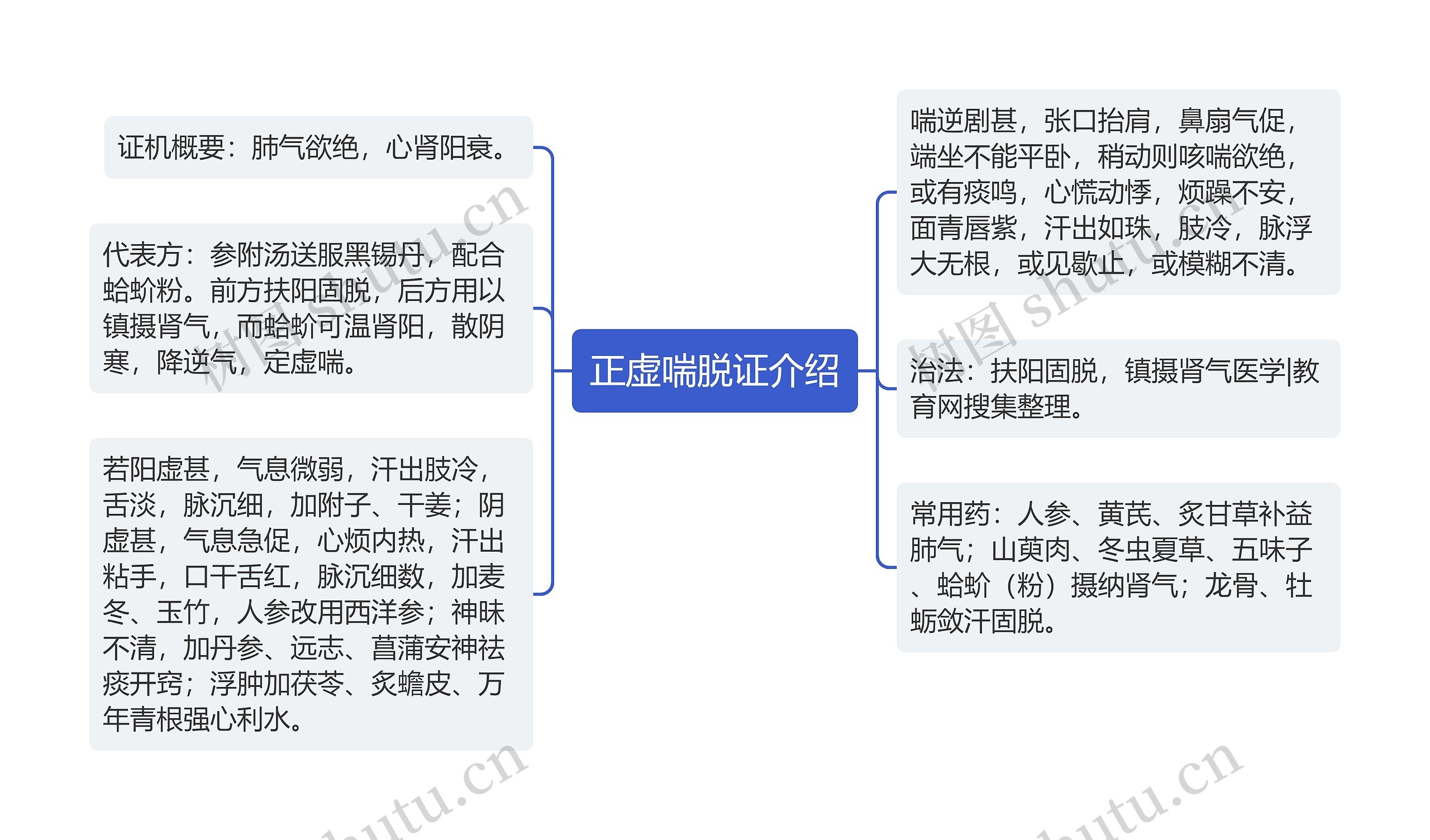 正虚喘脱证介绍思维导图