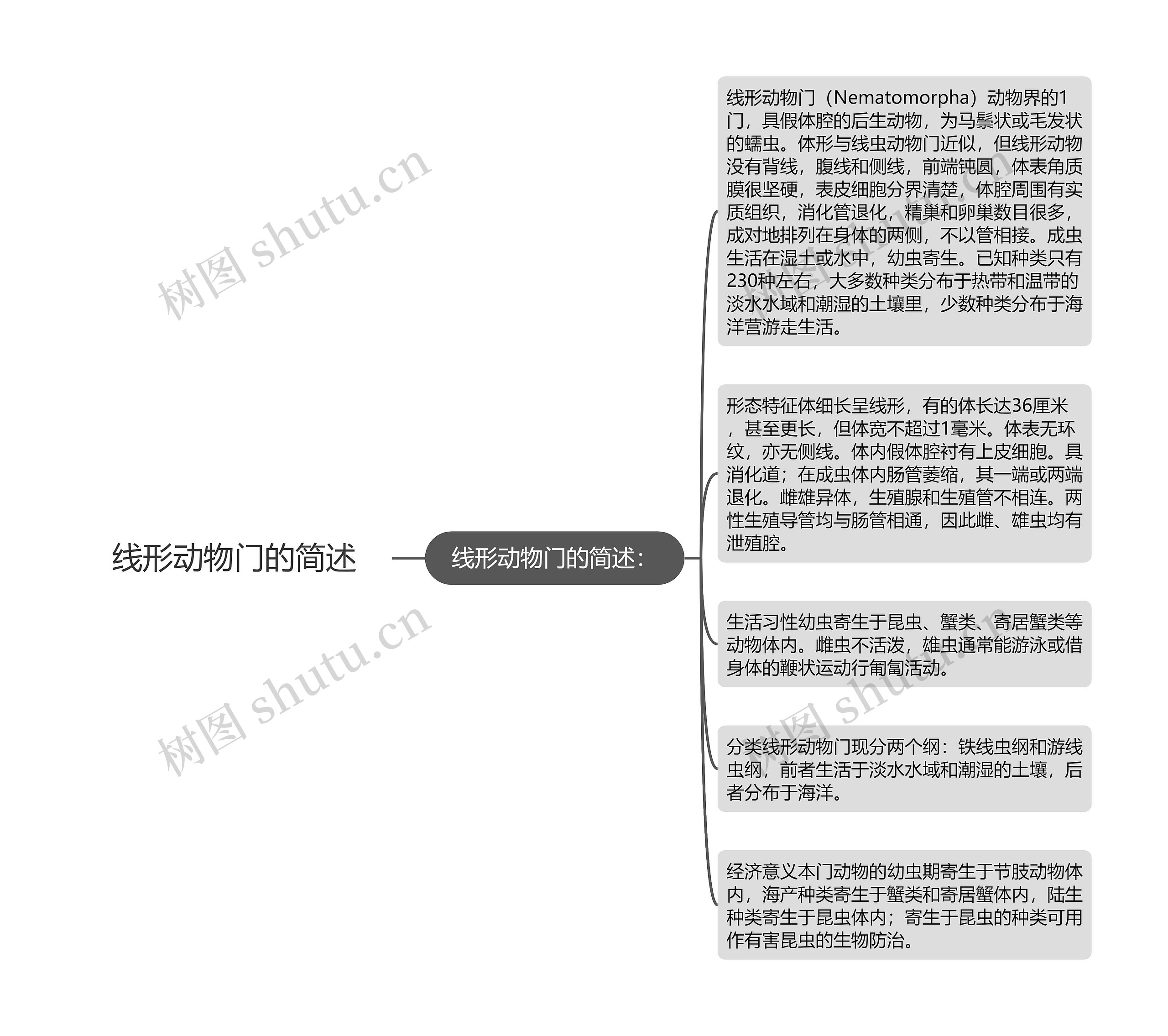 线形动物门的简述思维导图