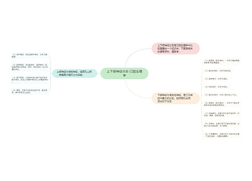 上下颌神经分支-口腔生理学