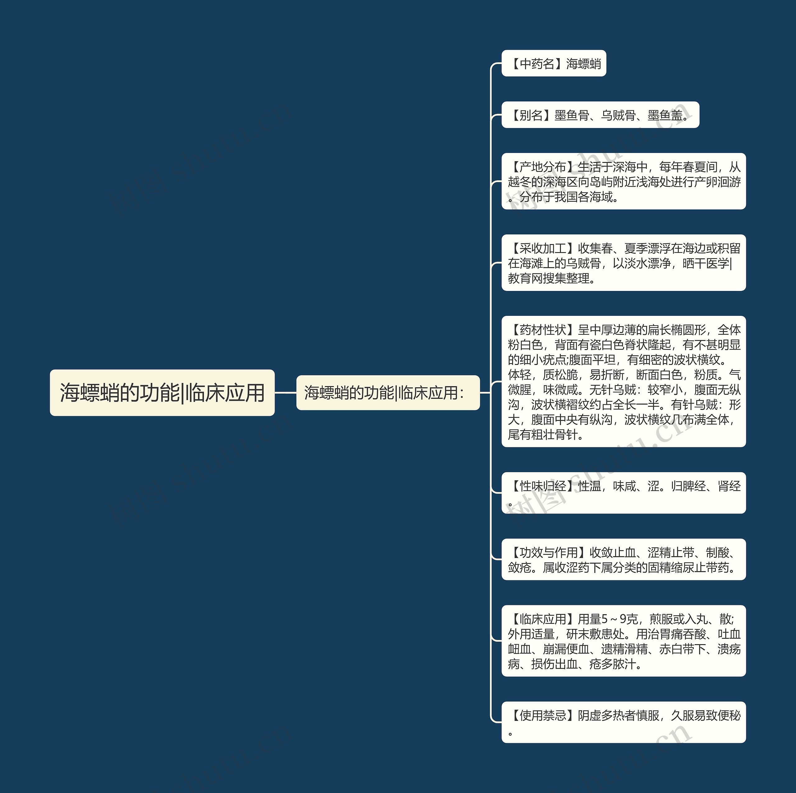 海螵蛸的功能|临床应用