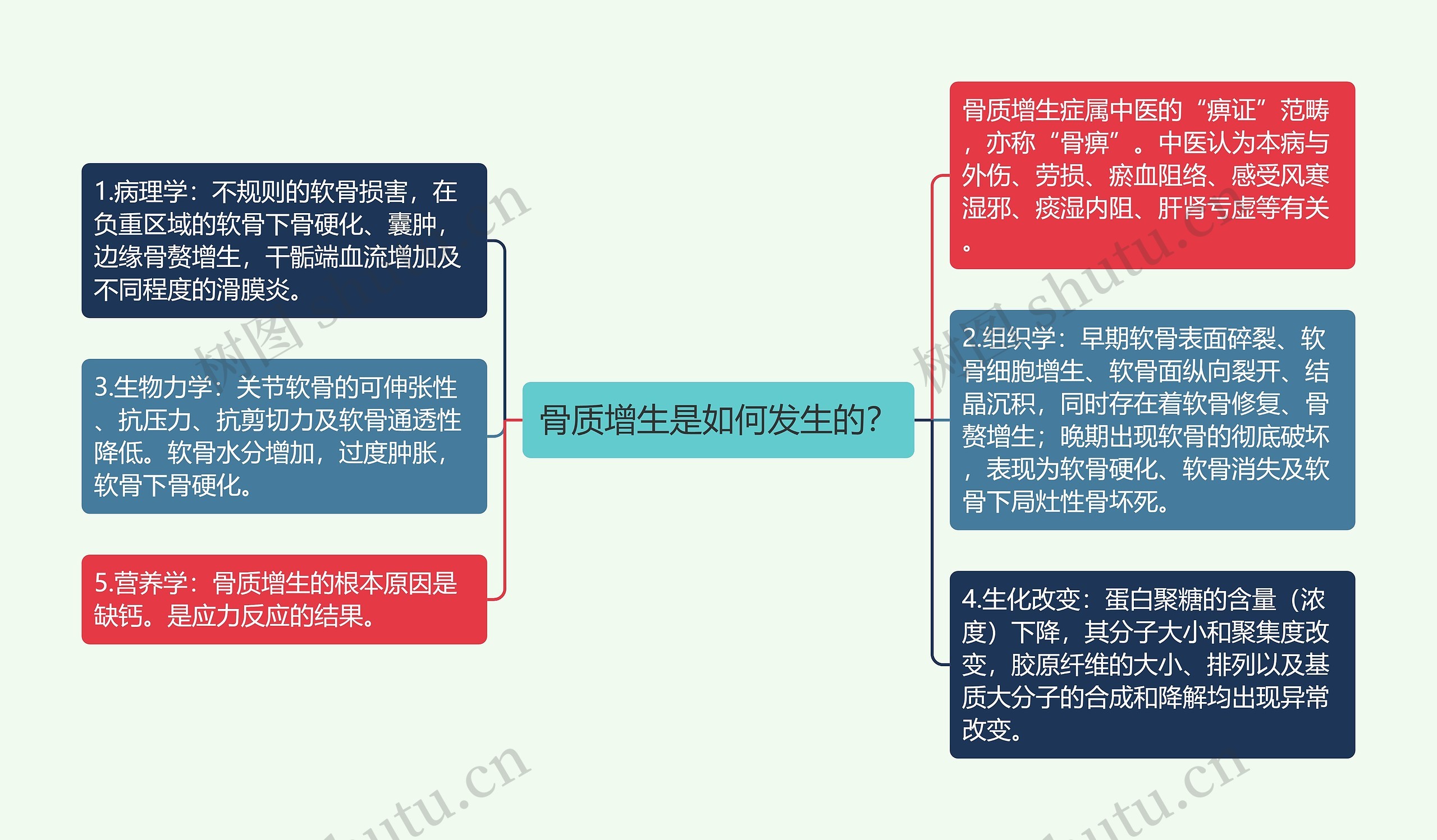 骨质增生是如何发生的？思维导图