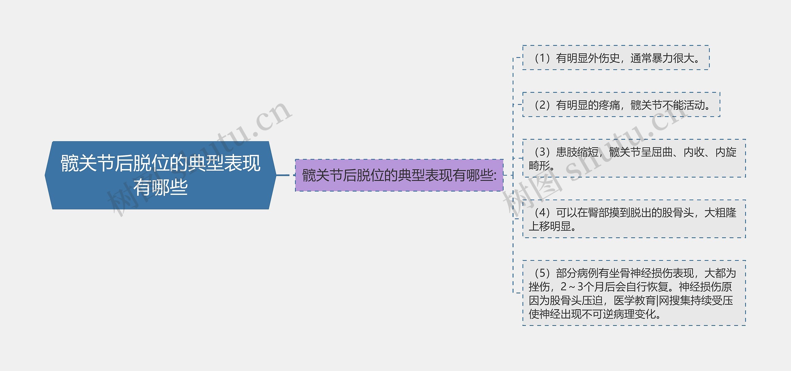 髋关节后脱位的典型表现有哪些思维导图