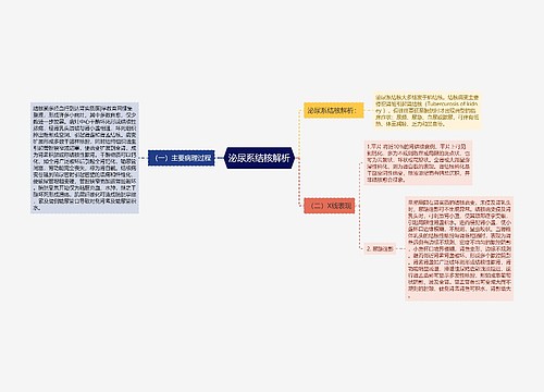 泌尿系结核解析