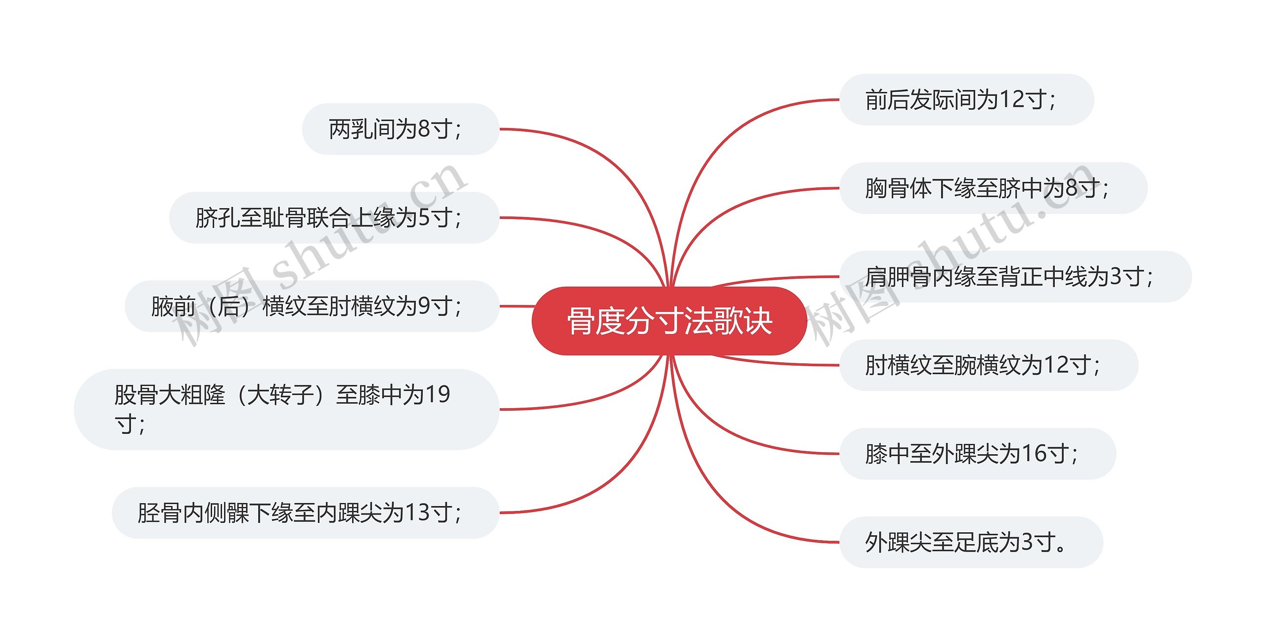 骨度分寸法歌诀