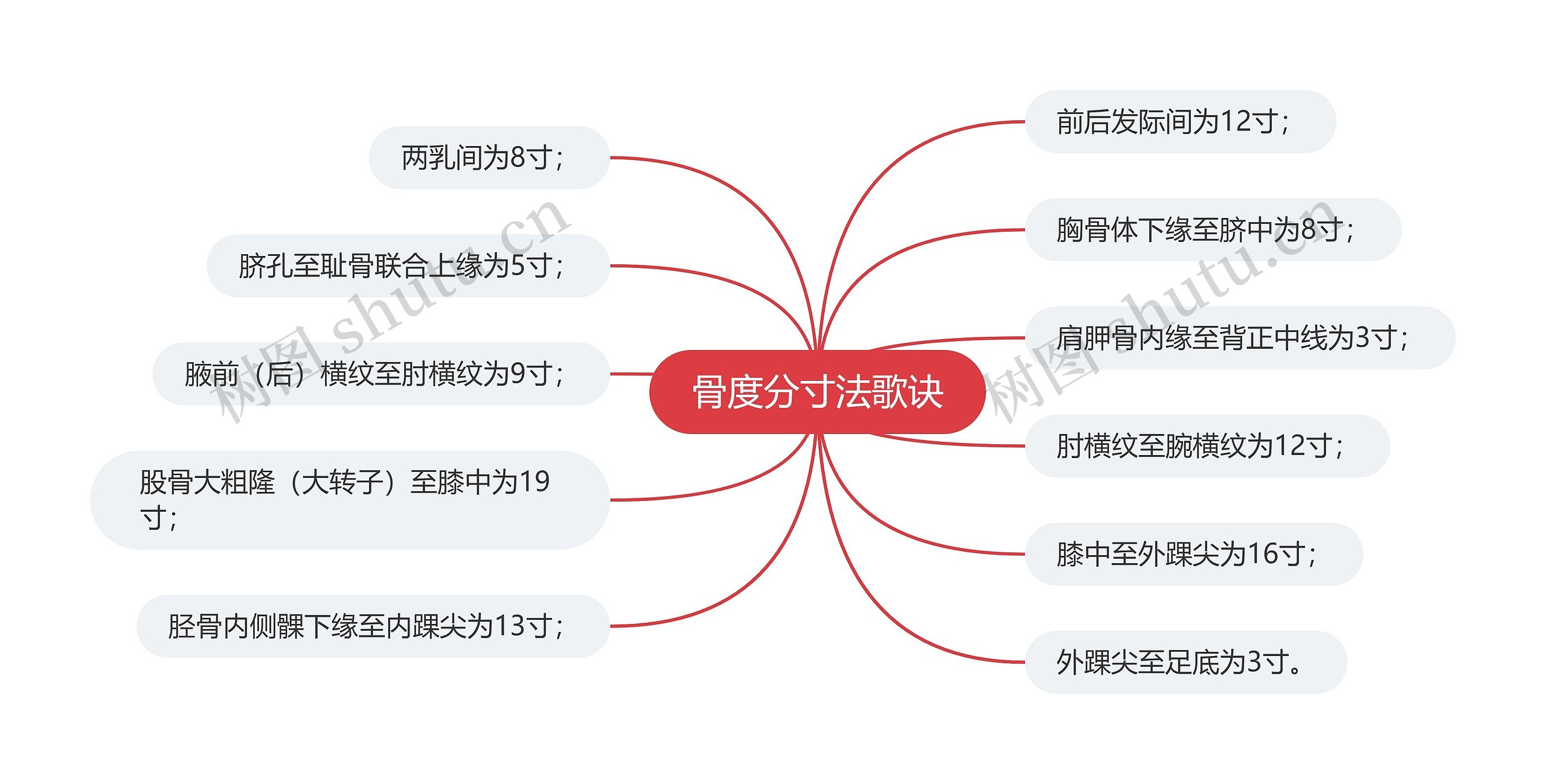 骨度分寸法歌诀思维导图