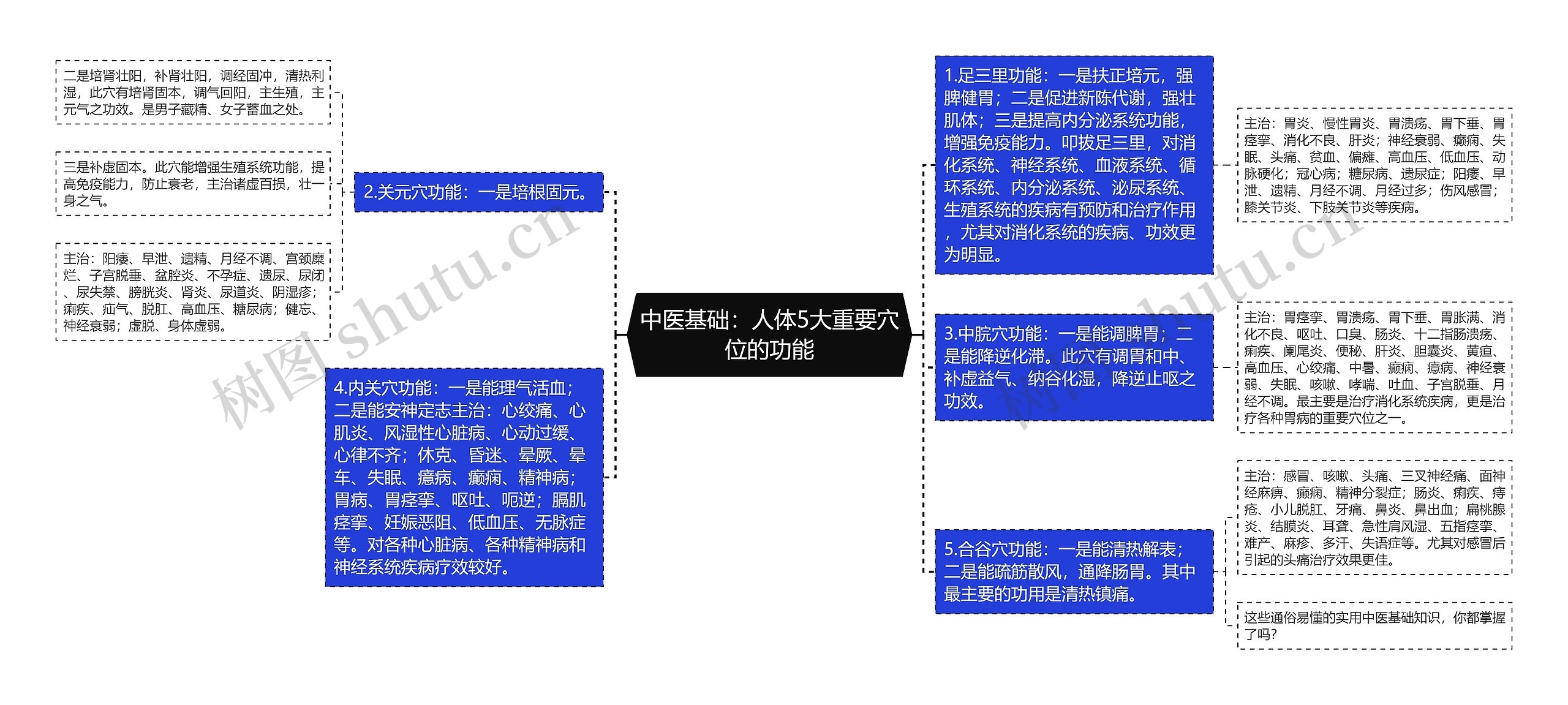 中医基础：人体5大重要穴位的功能