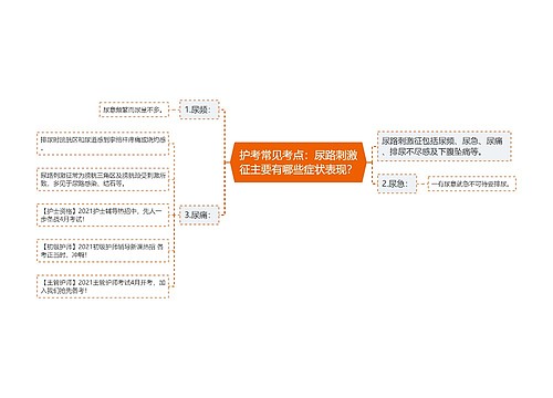 护考常见考点：尿路刺激征主要有哪些症状表现？