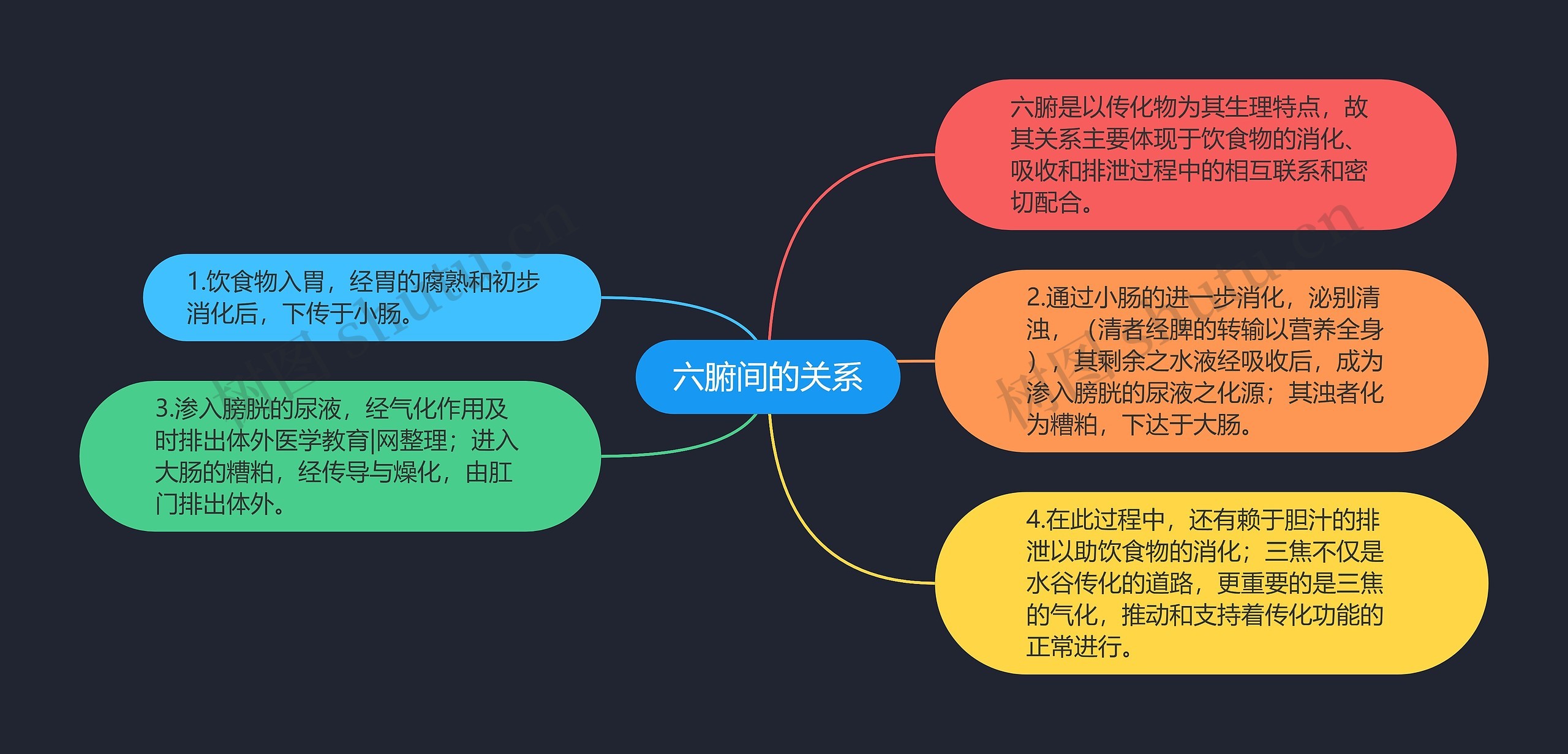 六腑间的关系思维导图