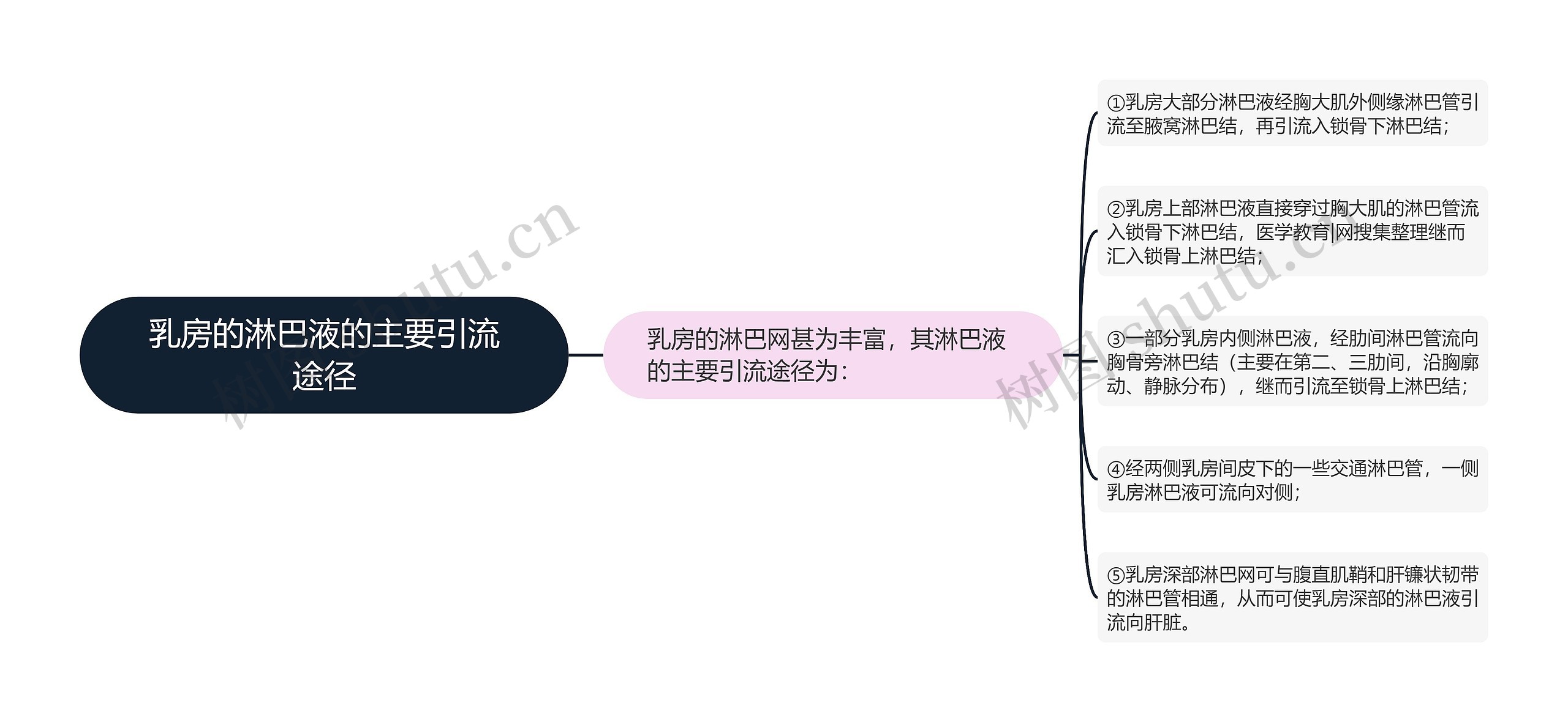 乳房的淋巴液的主要引流途径 乳房的淋巴液的主要引流途径