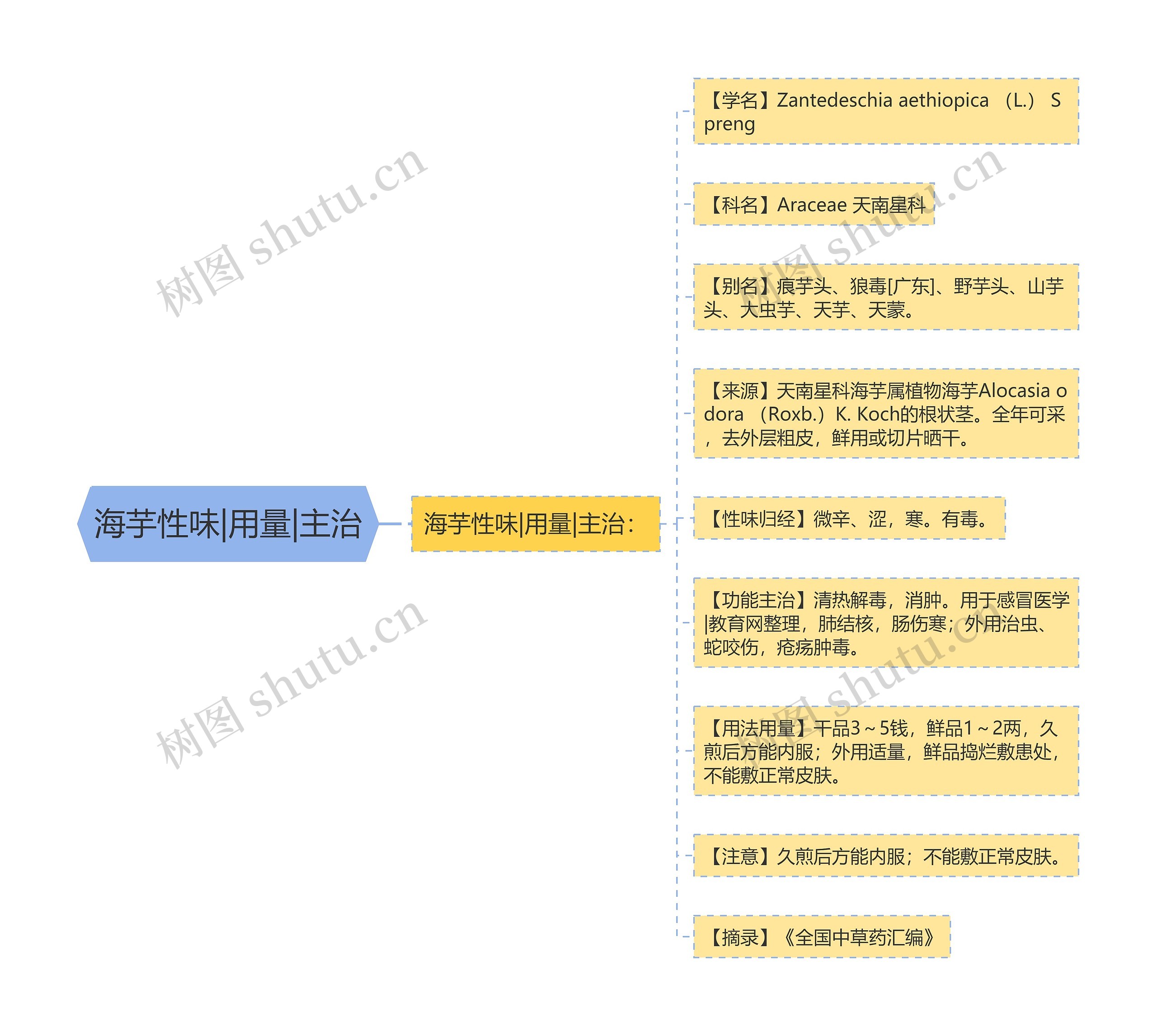 海芋性味|用量|主治思维导图