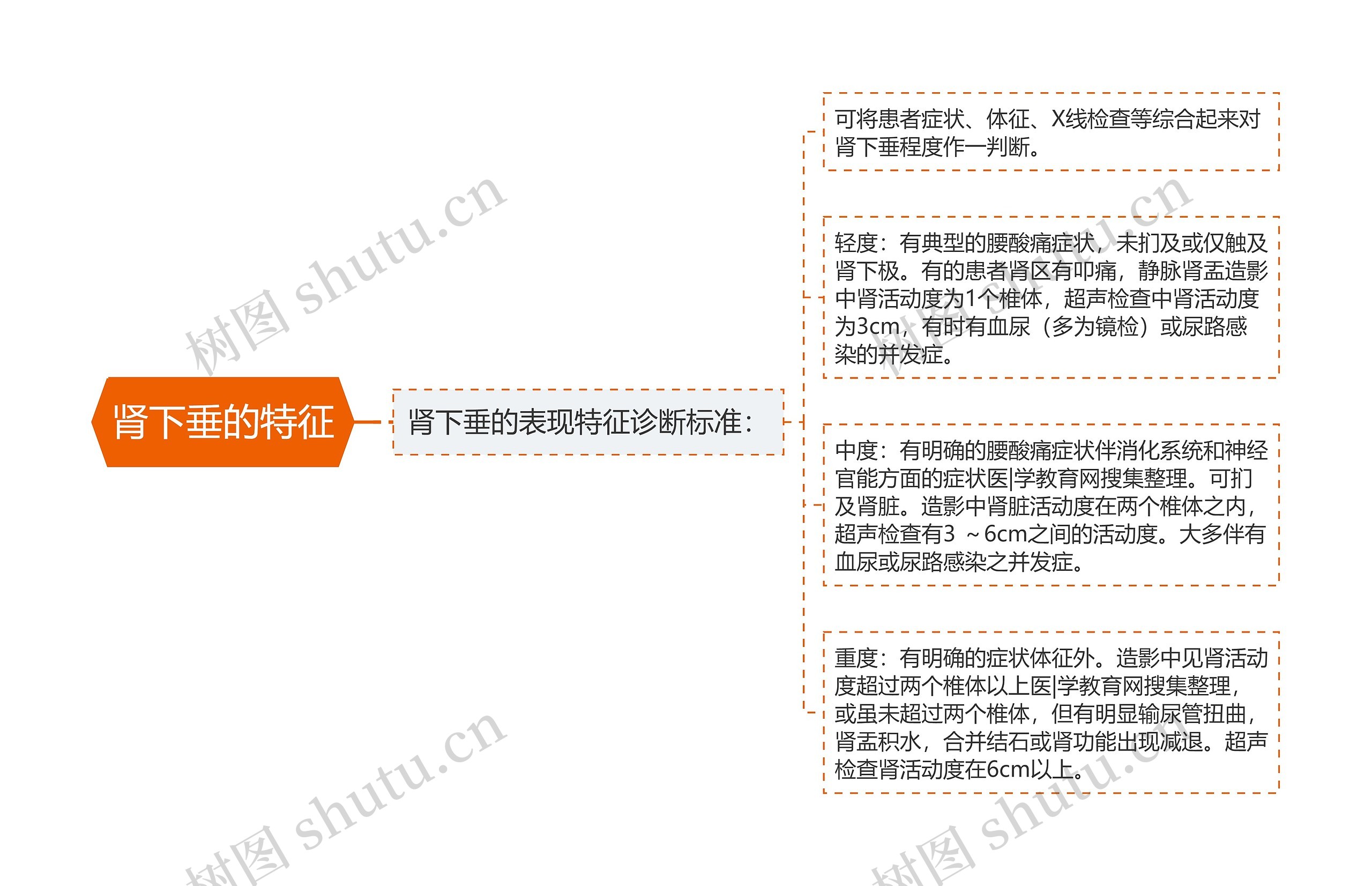 肾下垂的特征思维导图