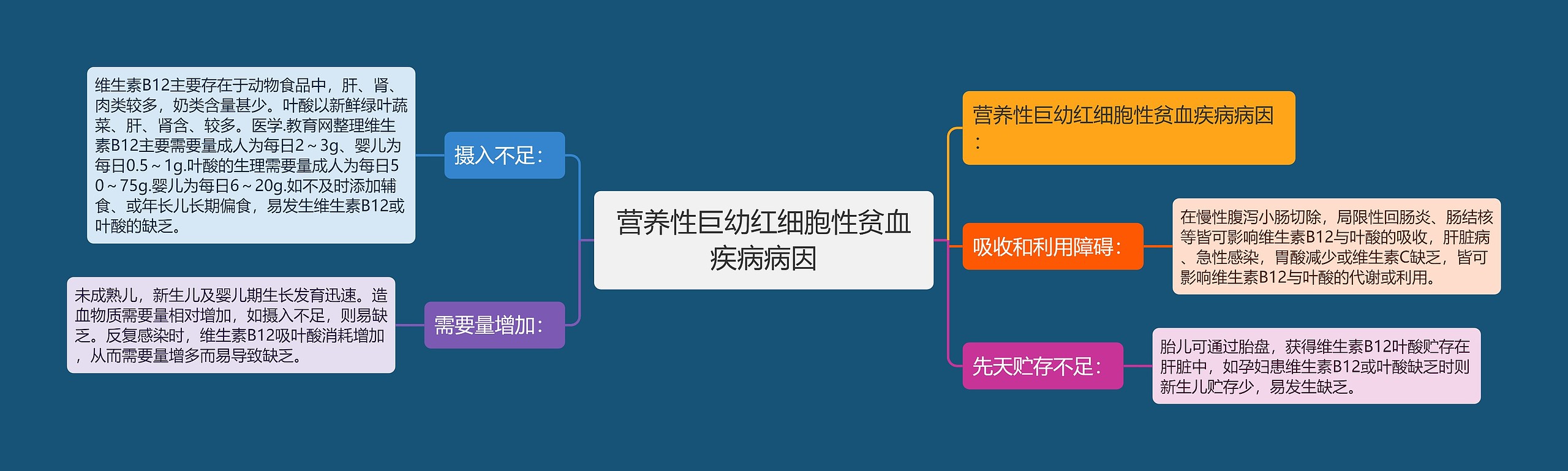 营养性巨幼红细胞性贫血疾病病因