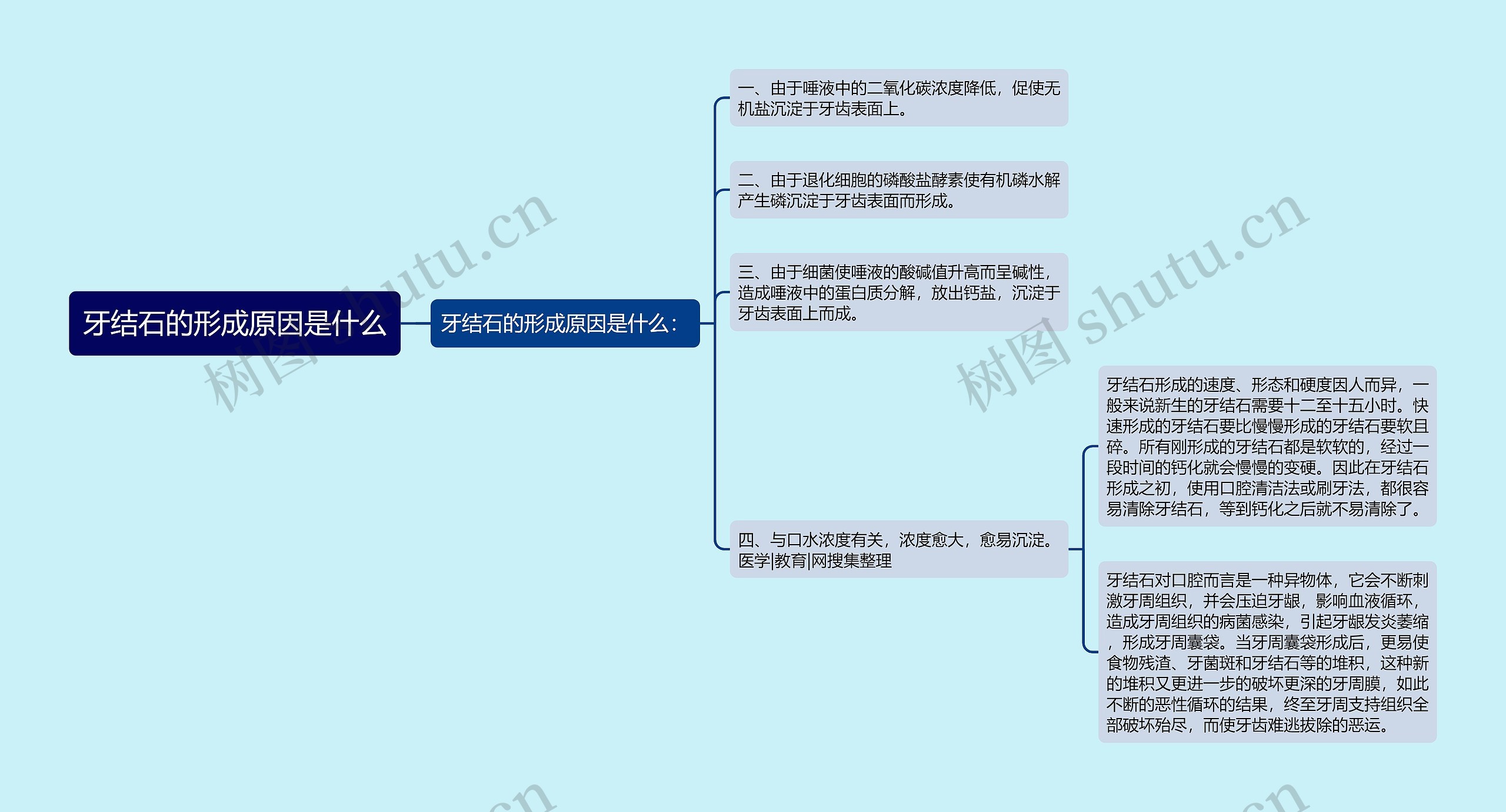 牙结石的形成原因是什么思维导图