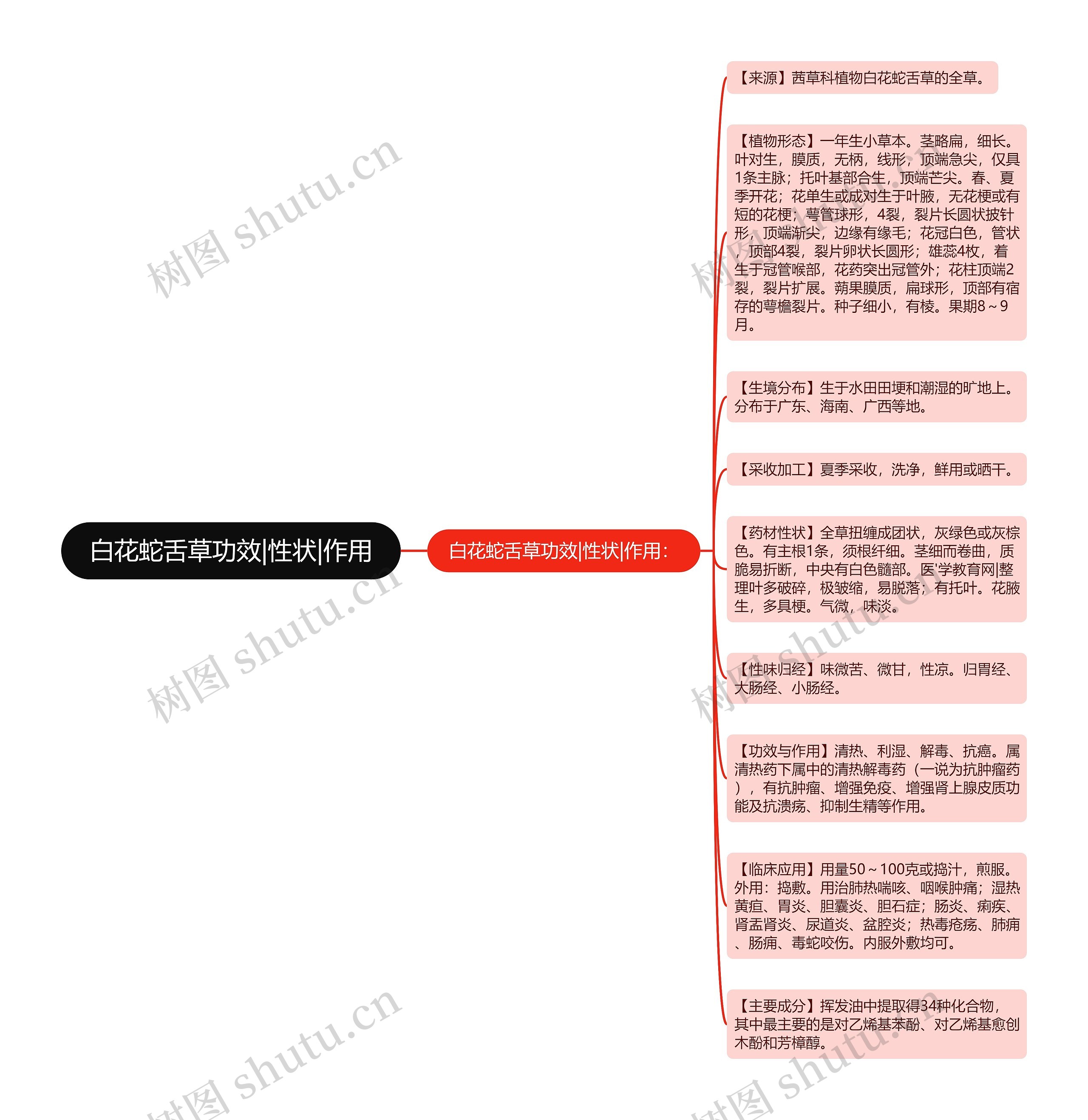 白花蛇舌草功效|性状|作用思维导图