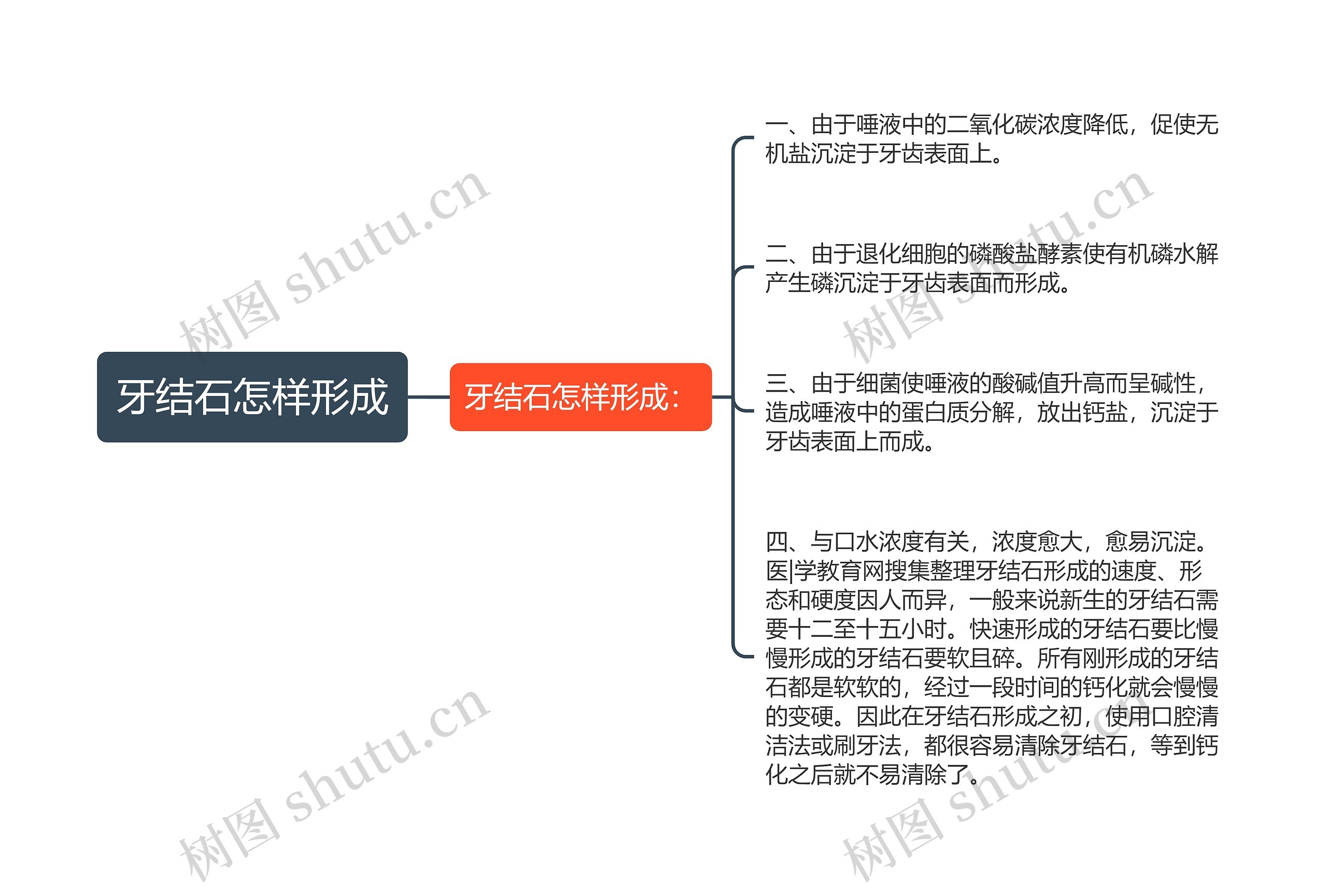 牙结石怎样形成思维导图