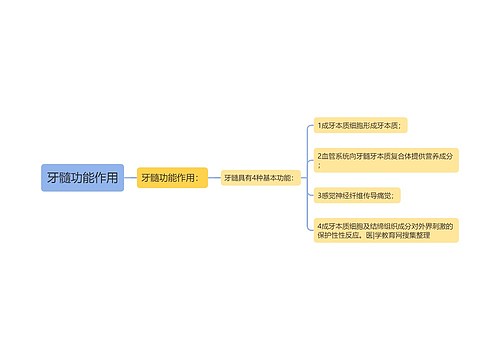 牙髓功能作用